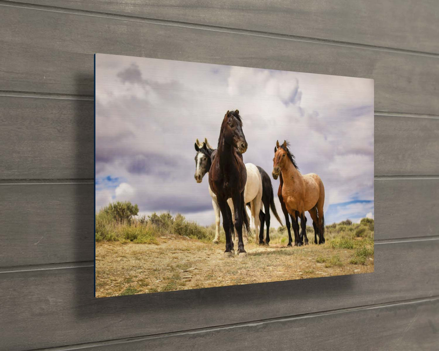 Three horses standing in a field with a cloudy sky in the background.