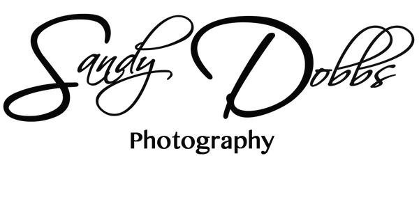 SandyDobbsFineArtPhotography logo