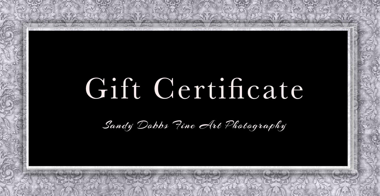 Sandy Dobbs Fine Art Photography Gift Card - SandyDobbsFineArtPhotography