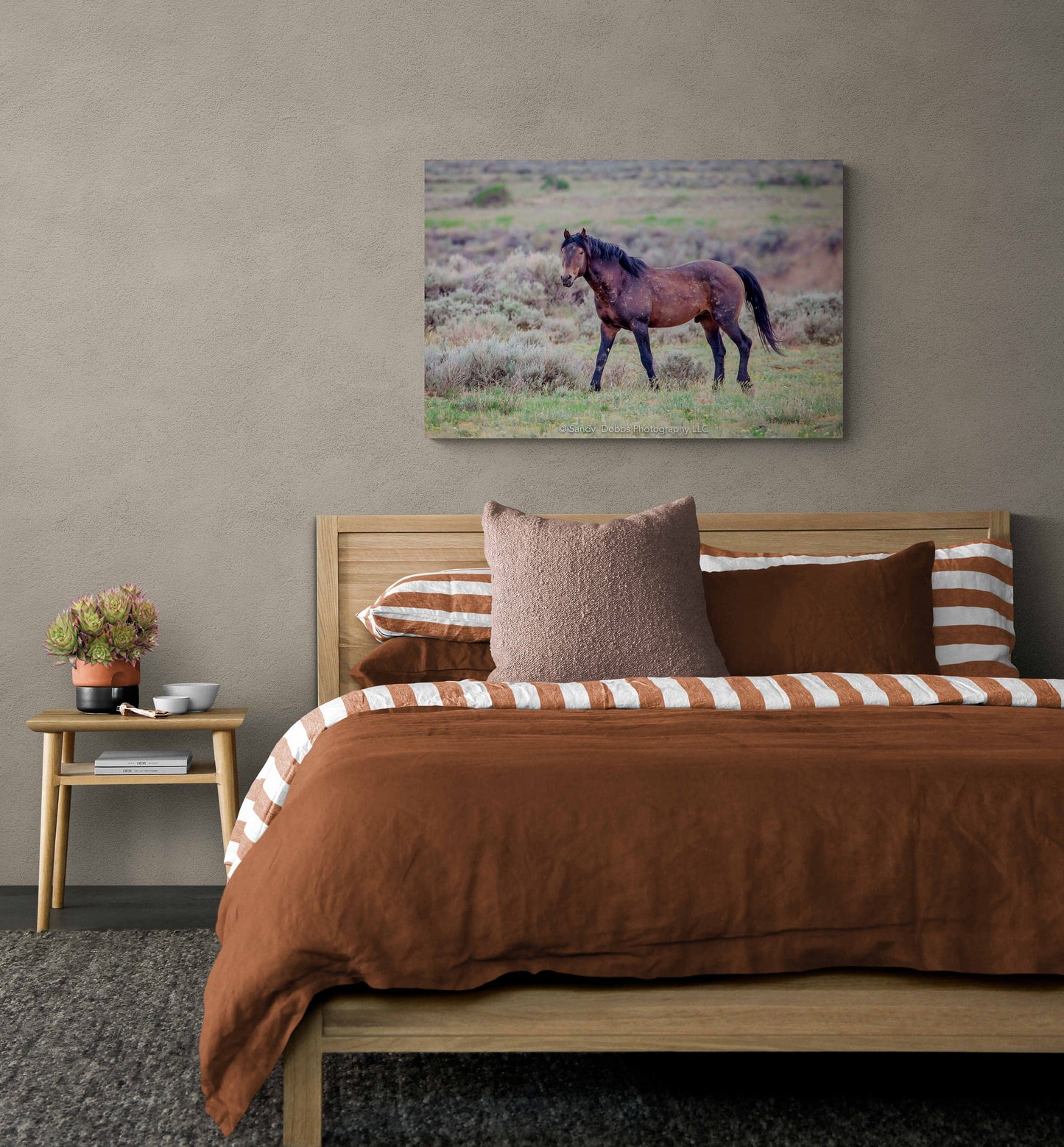 Wild Horse Wall Art Print, Wild Horse Photos, Wyoming Wildlife Canvas Prints, Cowboy Old West Decor for Home, Living Room, Bedroom, Office,