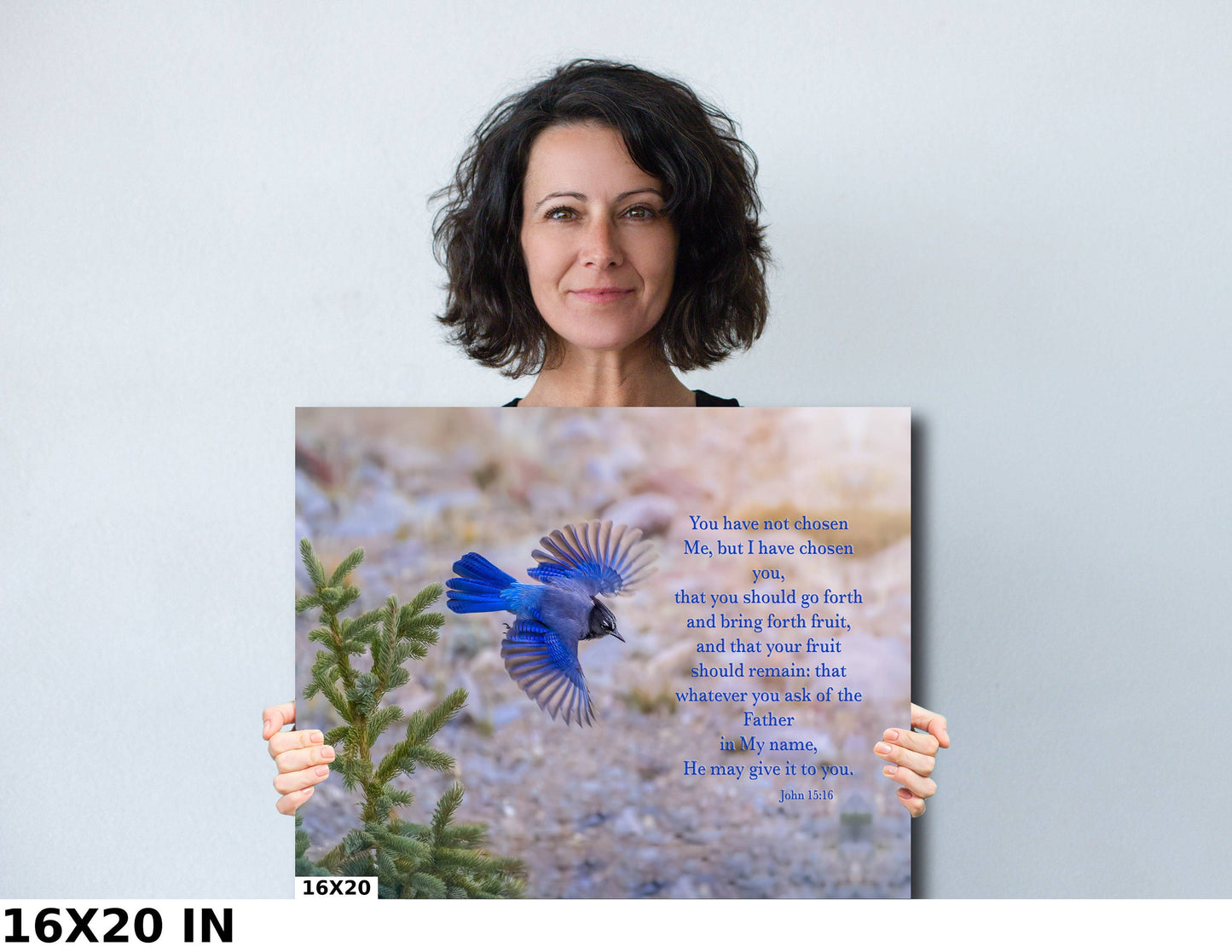 John 15:16 Christian Inspirational Wall Art, Stellar's Jay Print Scripture Canvas, Rocky Mountain Wild Birds, Bible Verse, I Have Chosen You
