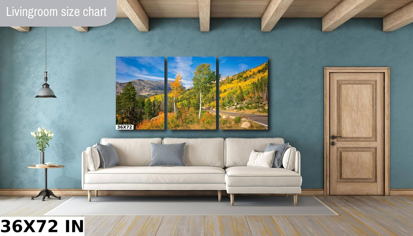 Bear Lake Road Rocky Mountain National Park Fall Aspens, Autumn Photo, Colorado Landscape Canvas Wall Art, Forest Scene Decor for Home - SandyDobbsFineArtPhotography