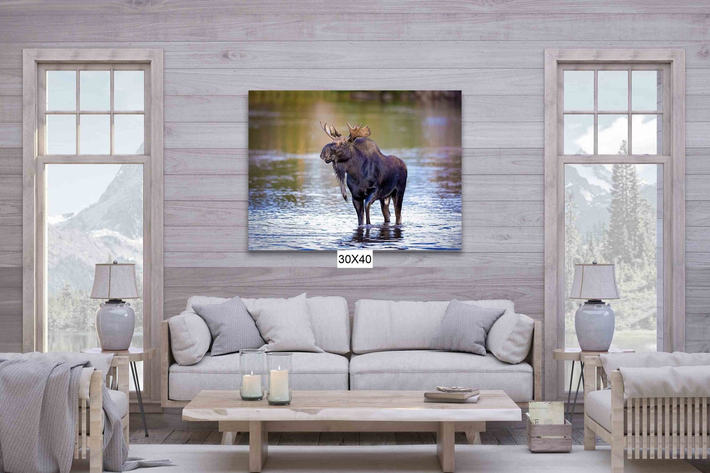 Bull Moose Photo, Rocky Mountain National Park Wildlife, Colorado Canvas Wall Art Print, Fine Art Nature, Original Animal Photography - SandyDobbsFineArtPhotography