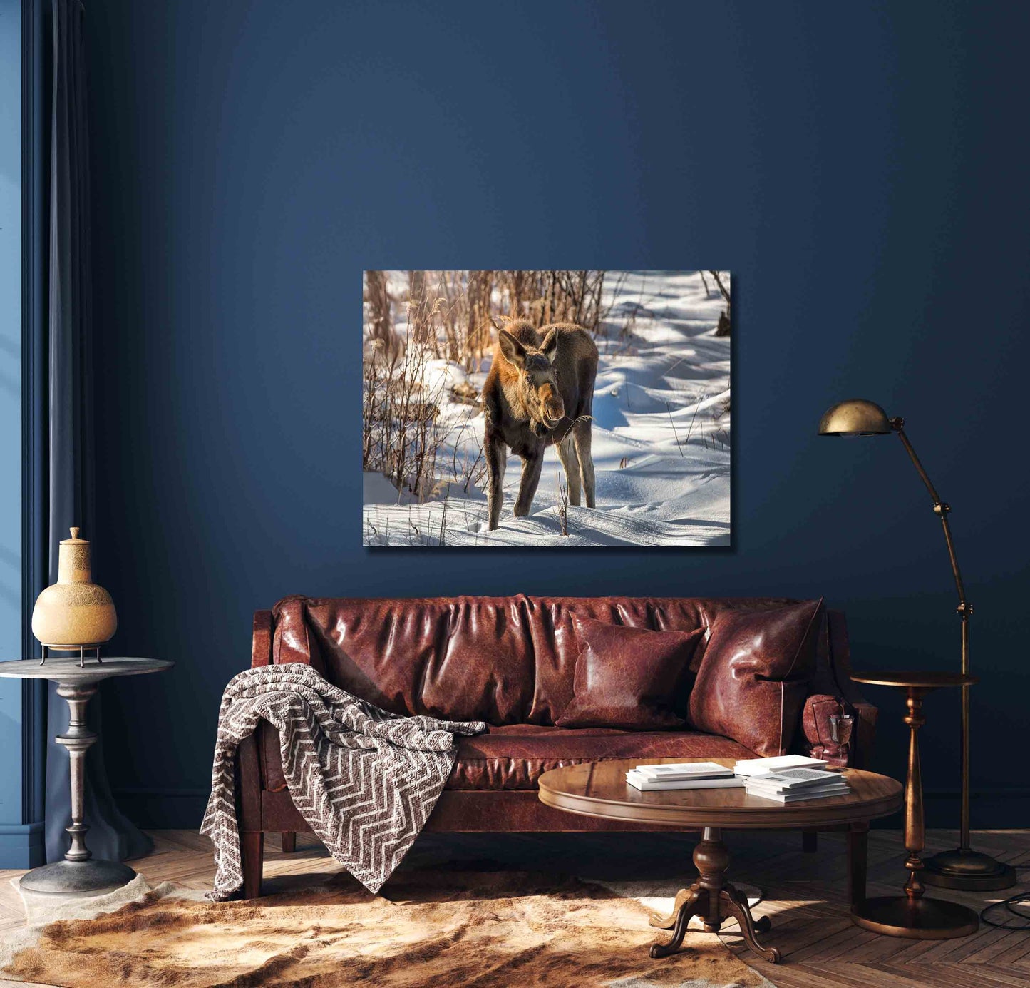Moose Cow and Calf Photo, Rocky Mountain National Park, Colorado Canvas Wall Art Prints, Original Wildlife Photography, Canvas Decor