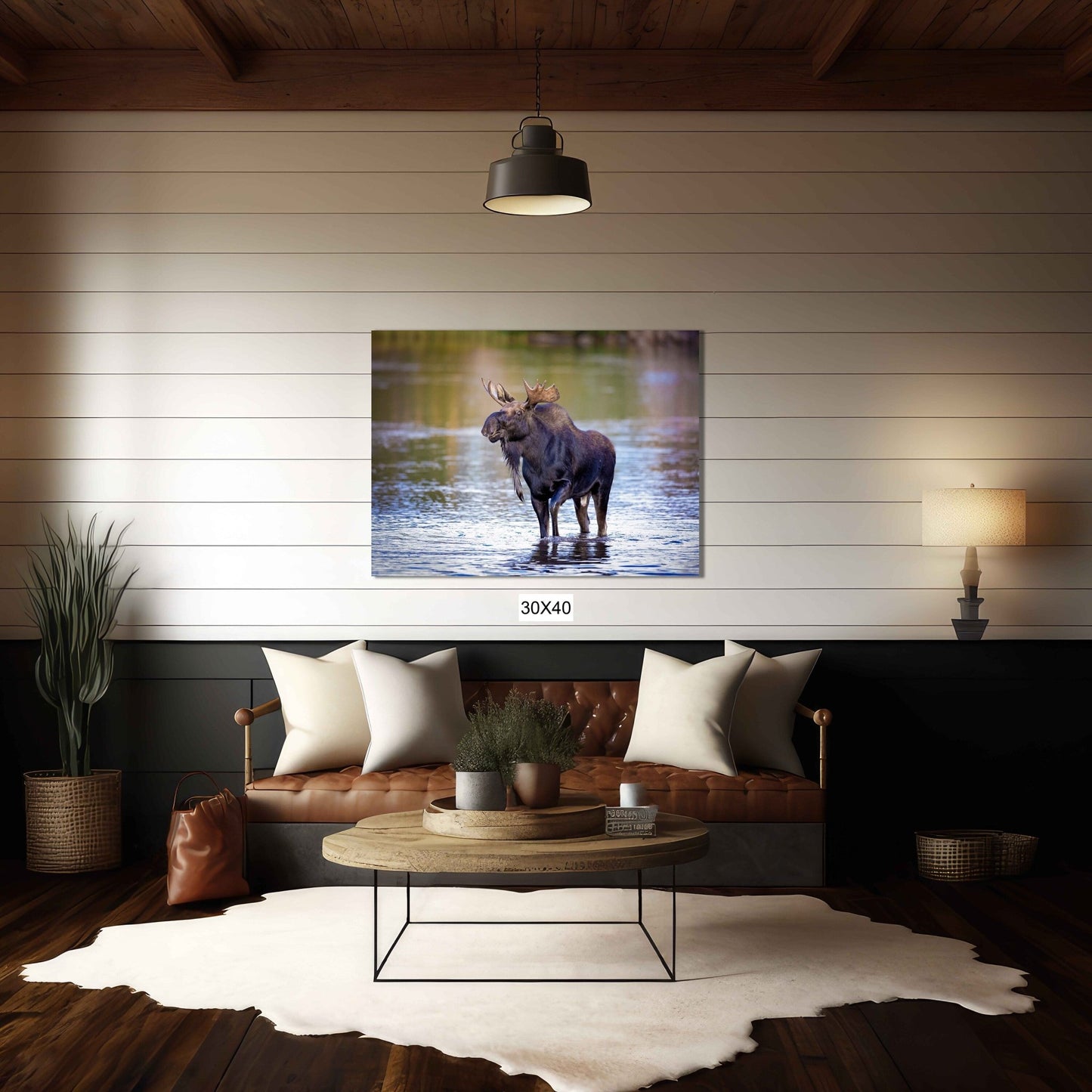 Bull Moose Photo, Rocky Mountain National Park Wildlife, Colorado Canvas Wall Art Print, Fine Art Nature, Original Animal Photography - SandyDobbsFineArtPhotography