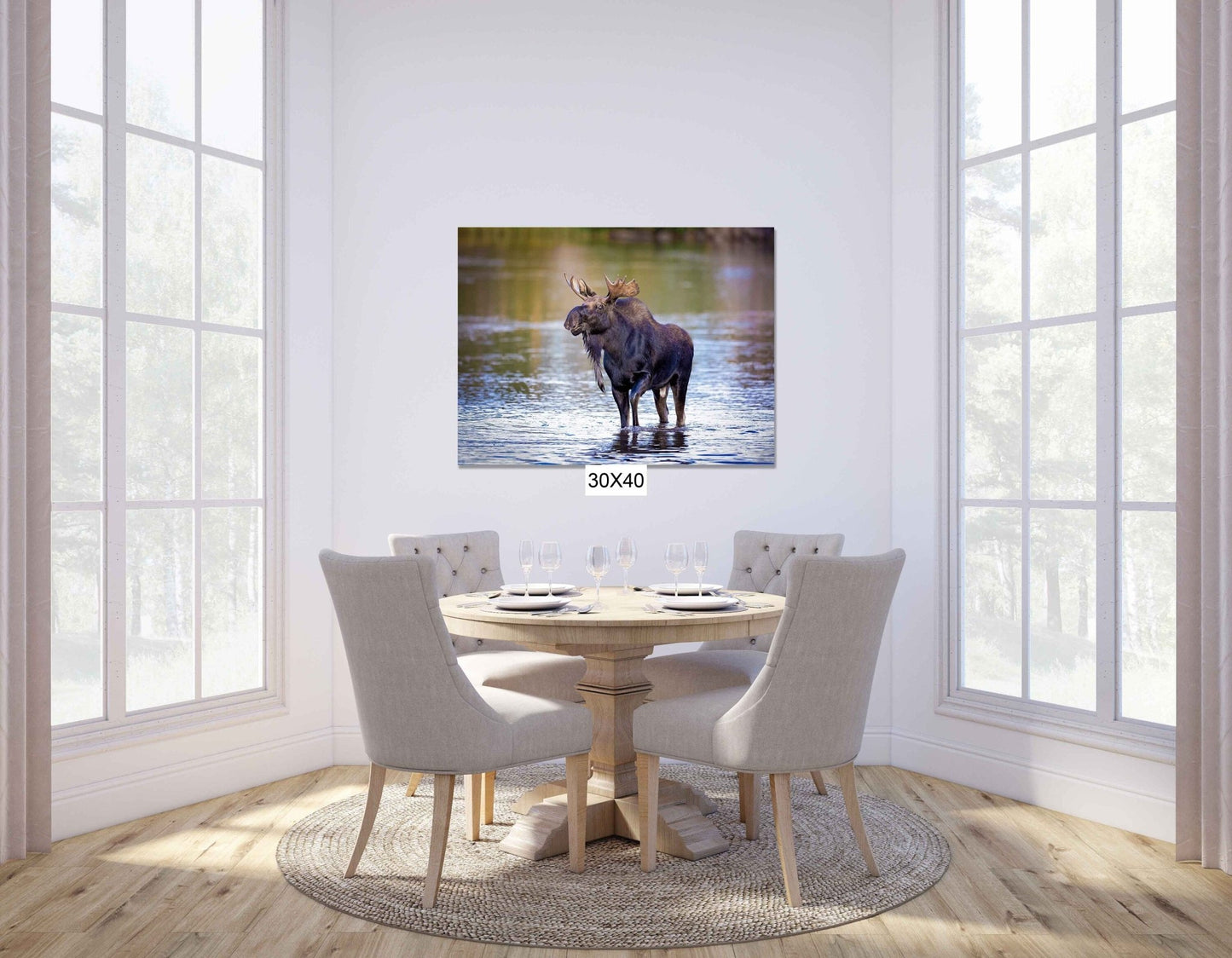 Bull Moose Photo, Rocky Mountain National Park Wildlife, Colorado Canvas Wall Art Print, Fine Art Nature, Original Animal Photography - SandyDobbsFineArtPhotography