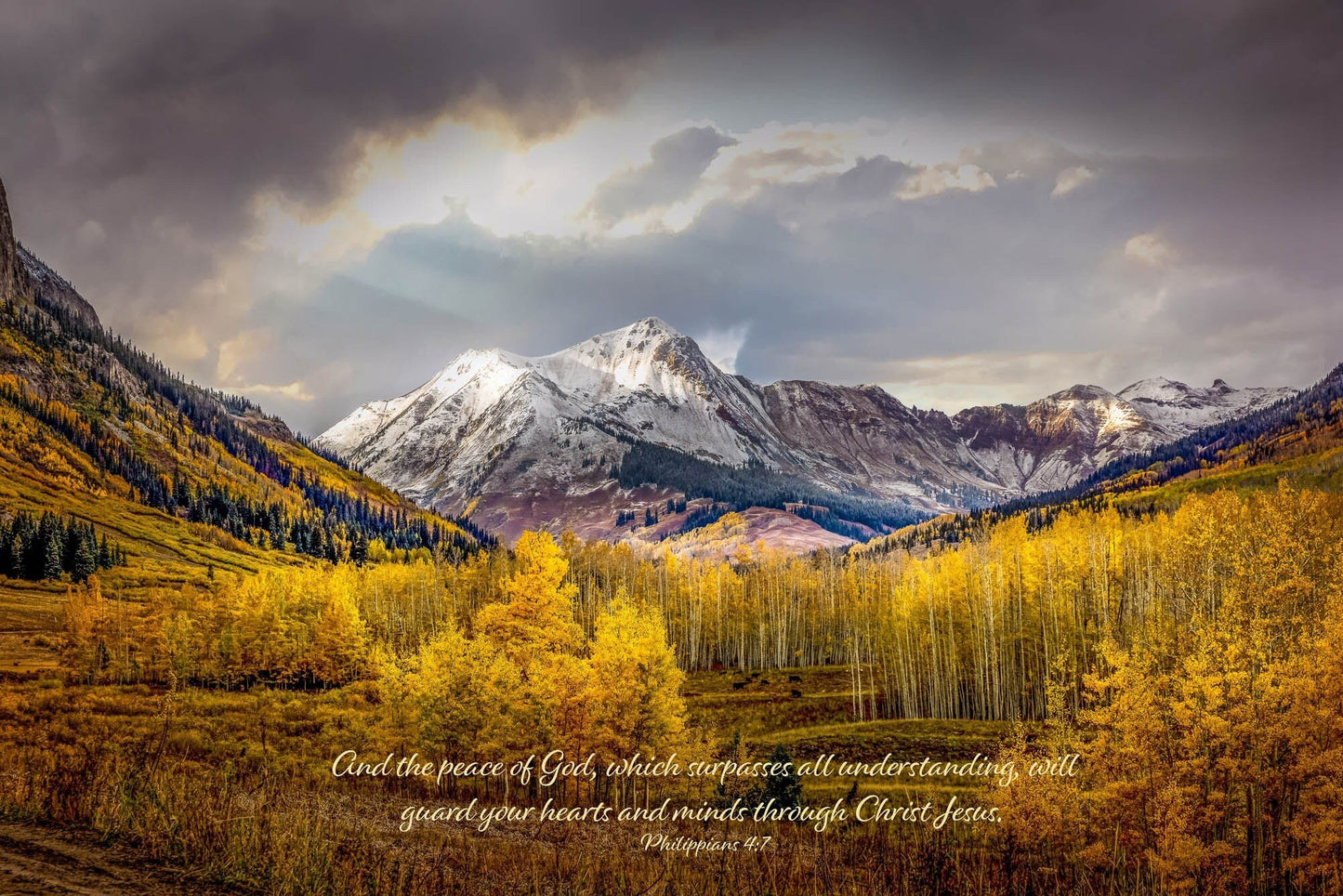 Philippians 4:7 Christian Inspirational Photo Print, Peace of God, Colorado Autumn Panoramic Landscape Print, Golden Aspens Mountain Photo - SandyDobbsFineArtPhotography