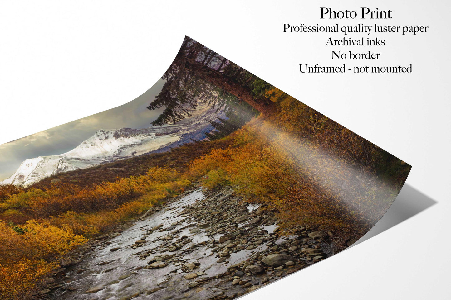 Crested Butte Colorado Landscape Photo Print, Snowy Mountain Peaks over Stream, Autumn Aspen Trees, Fall Canvas, San Juan Rocky Photography