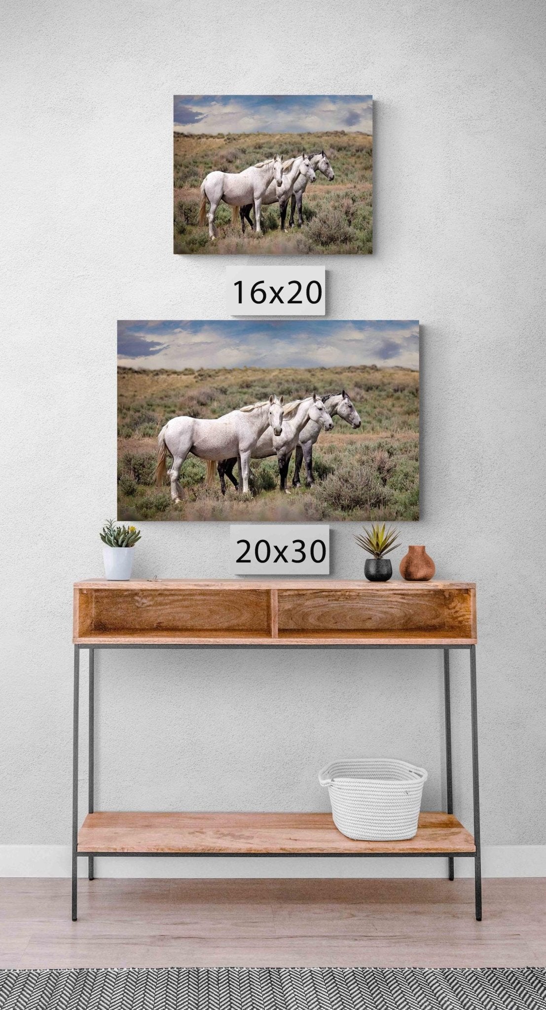 Wild Gray Mustangs in Colorado Photo, Wild Horses Photography, Wildlife Canvas, Wall Art Print, Cowboy Old West Decor for Home or Office - SandyDobbsFineArtPhotography
