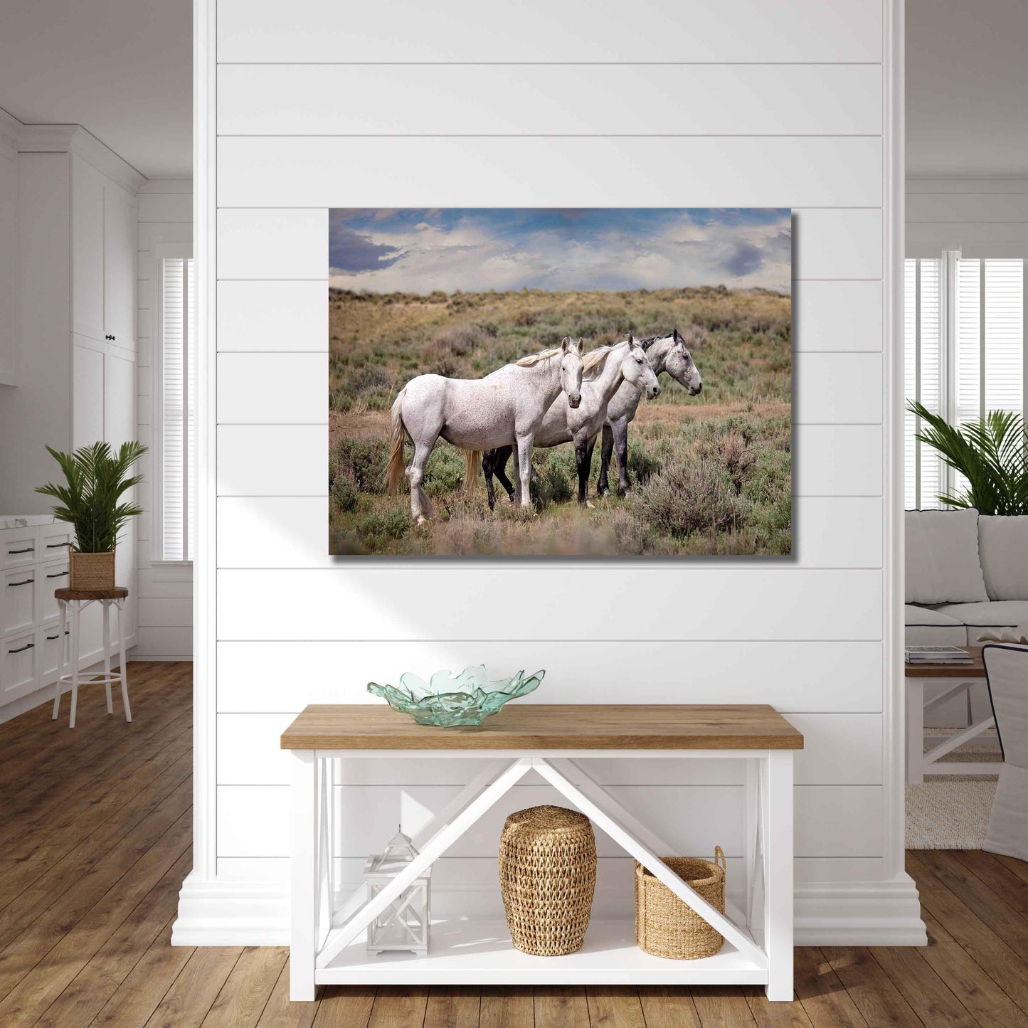 Wild Gray Mustangs in Colorado Photo, Wild Horses Photography, Wildlife Canvas, Wall Art Print, Cowboy Old West Decor for Home or Office