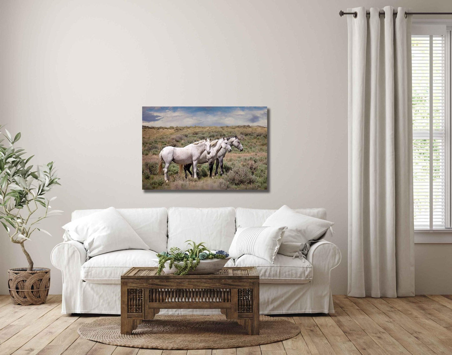Wild Gray Mustangs in Colorado Photo, Wild Horses Photography, Wildlife Canvas, Wall Art Print, Cowboy Old West Decor for Home or Office - SandyDobbsFineArtPhotography