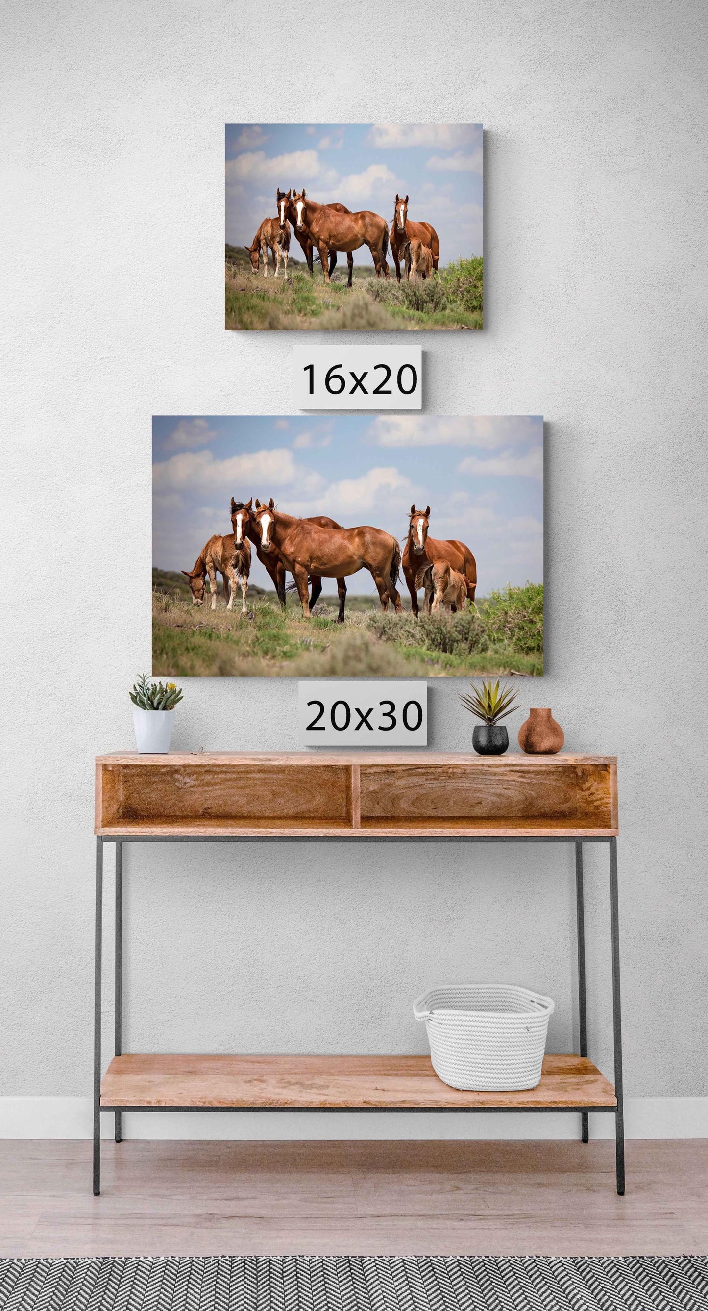 Wild Horses in Colorado Canvas Art, Wild Mustangs Photo Wall Print, Chestnut Mares and Foals, Cowboy Old West Decor for Home or Office