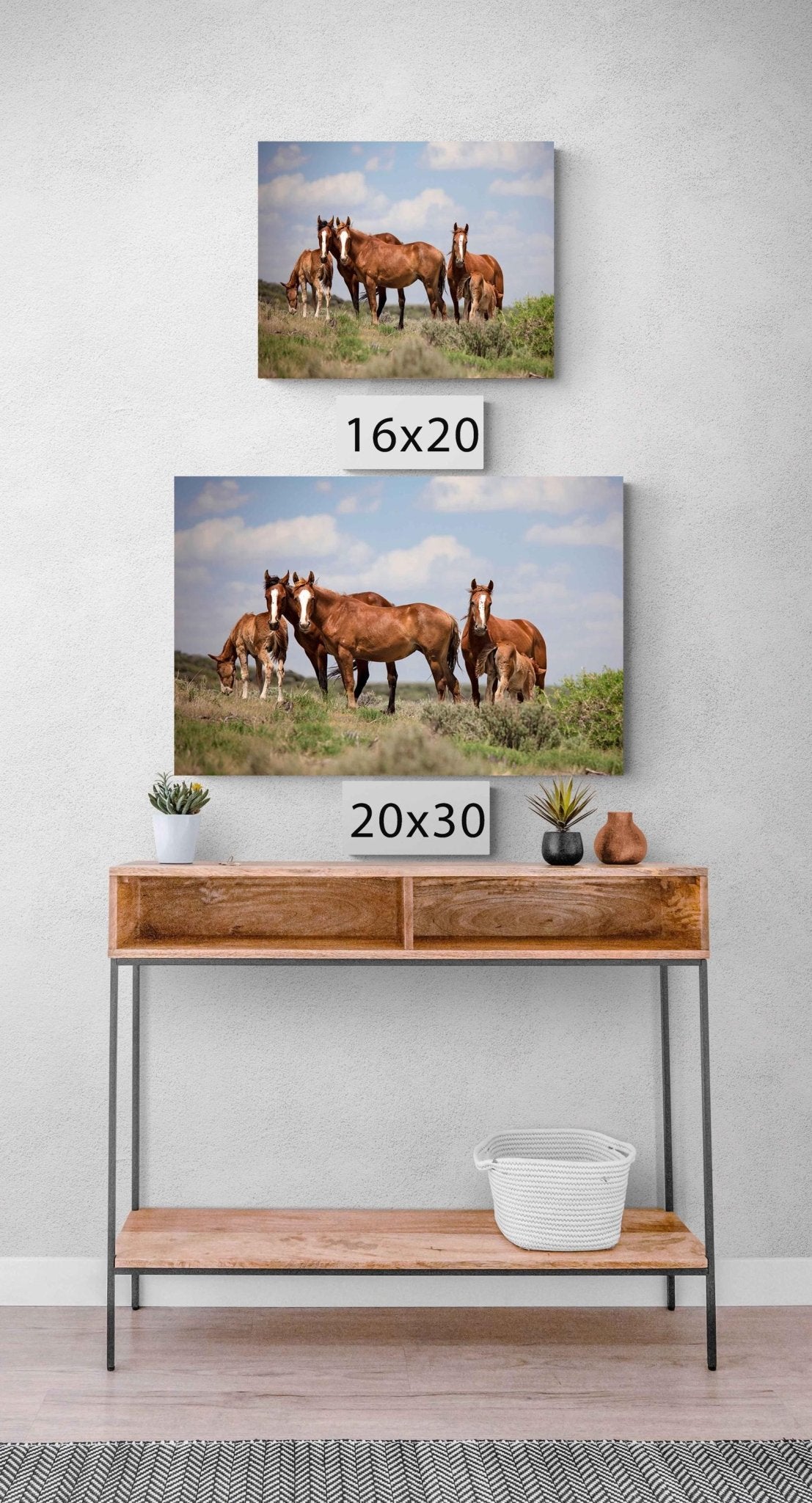 Wild Horses in Colorado Canvas Art, Wild Mustangs Photo Wall Print, Chestnut Mares and Foals, Cowboy Old West Decor for Home or Office - SandyDobbsFineArtPhotography
