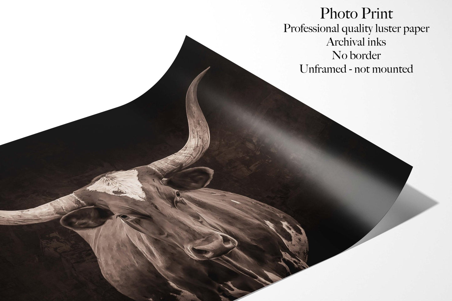 Texas Longhorn Wall Art - Sepia Tone Canvas Print | Western Rustic Decor - SandyDobbsFineArtPhotography