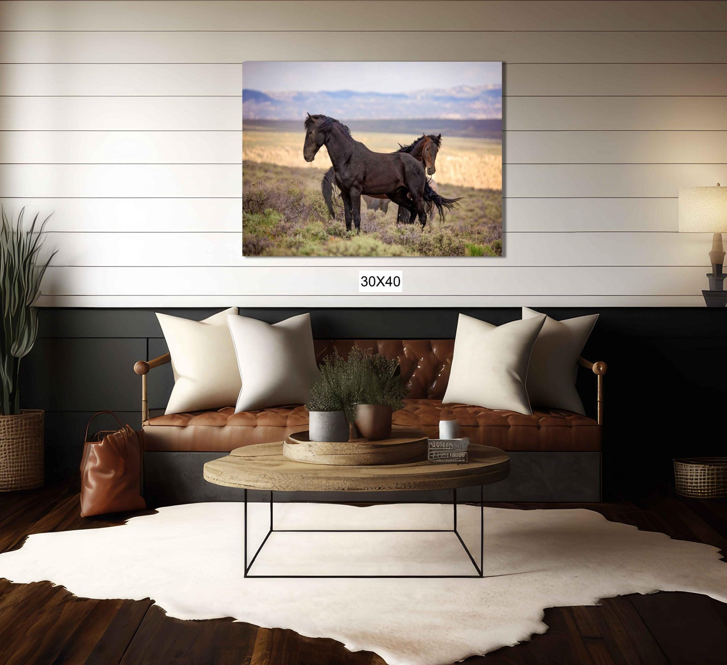 Wild Black Mustang Stallion Standing Photo, Wild Horses in Colorado Wall Art Print, Wildlife Canvas, Cowboy Old West Home or Office Decor - SandyDobbsFineArtPhotography