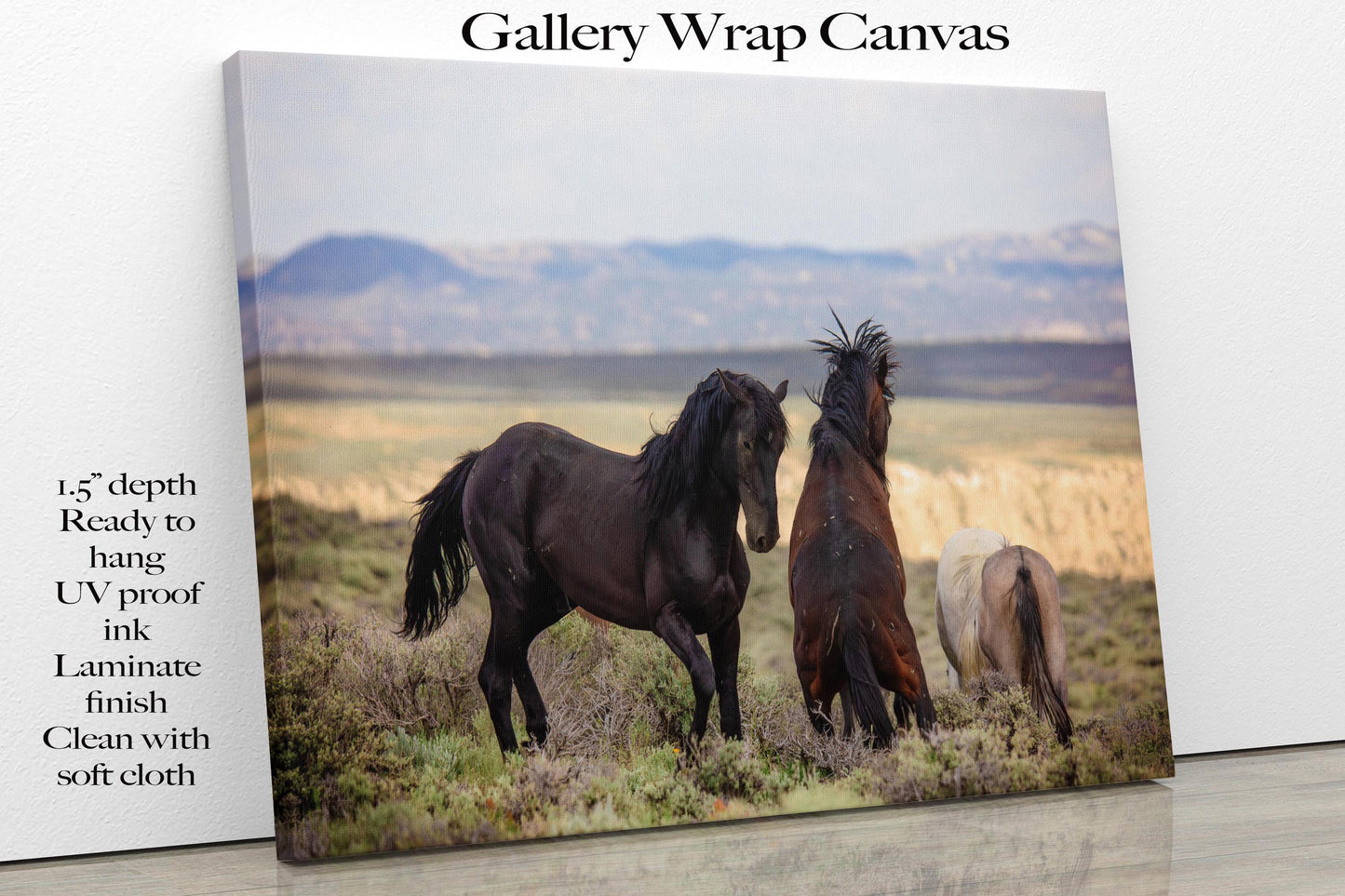 Wild Horses Fighting Photo Print, Colorado Mustang Stallions Wall Art, Wildlife Canvas, Cowboy Old West Style, Rustic Decor