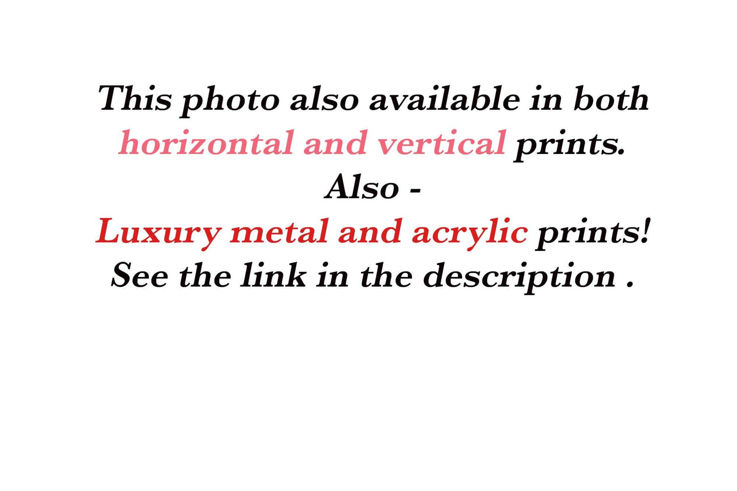 Vertical Crystal Mill Colorado Landscape Fall Foliage Canvas, Crystal River Autumn Aspen Trees Photo Print, San Juan Rocky Mountains - SandyDobbsFineArtPhotography