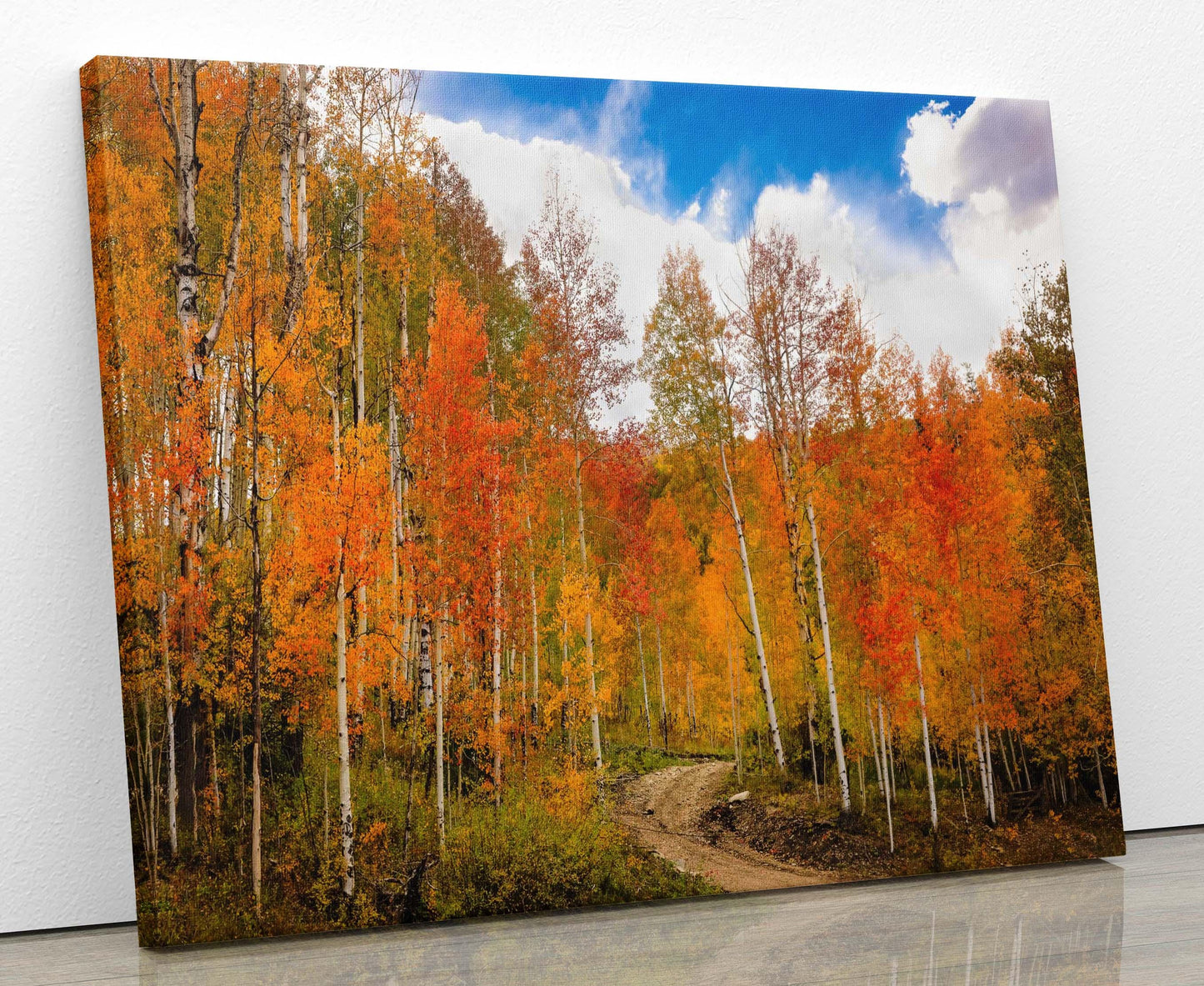 Red Aspen Trees Colorado Autumn Forest Print, Fall Colors Photo Canvas, Telluride Landscape, San Juan Rocky Mountains Photography
