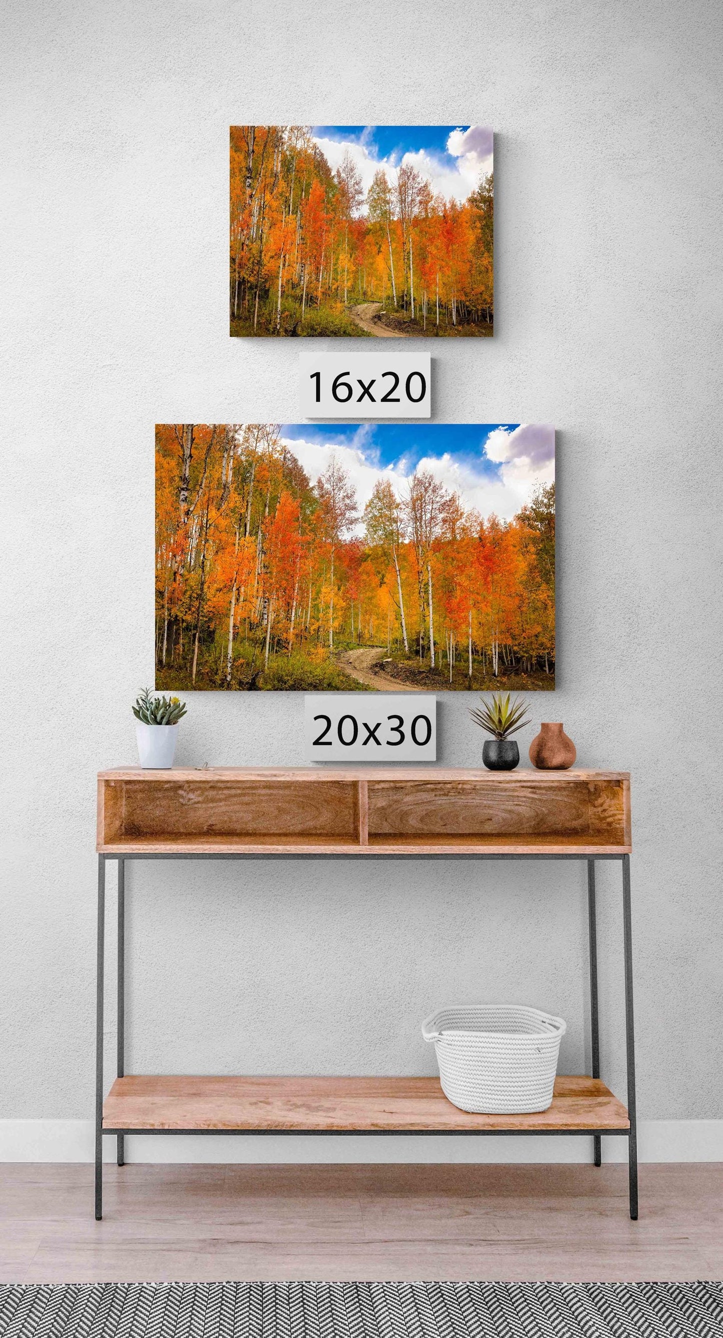 Red Aspen Trees Colorado Autumn Forest Print, Fall Colors Photo Canvas, Telluride Landscape, San Juan Rocky Mountains Photography