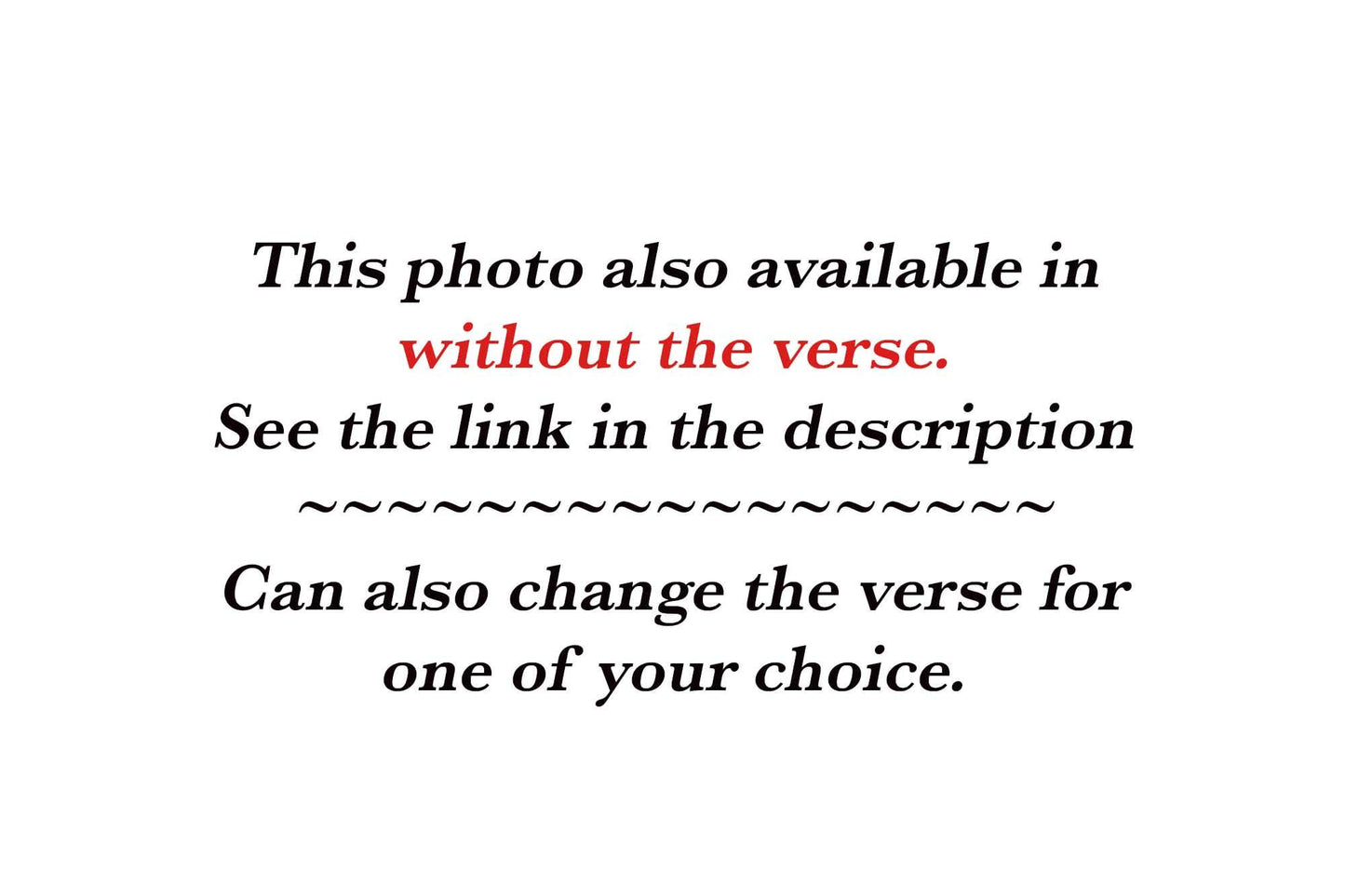 Wild Horse Wall Art - 2 Corinthians Canvas Mustang Print | Christian Scripture Decor - SandyDobbsFineArtPhotography