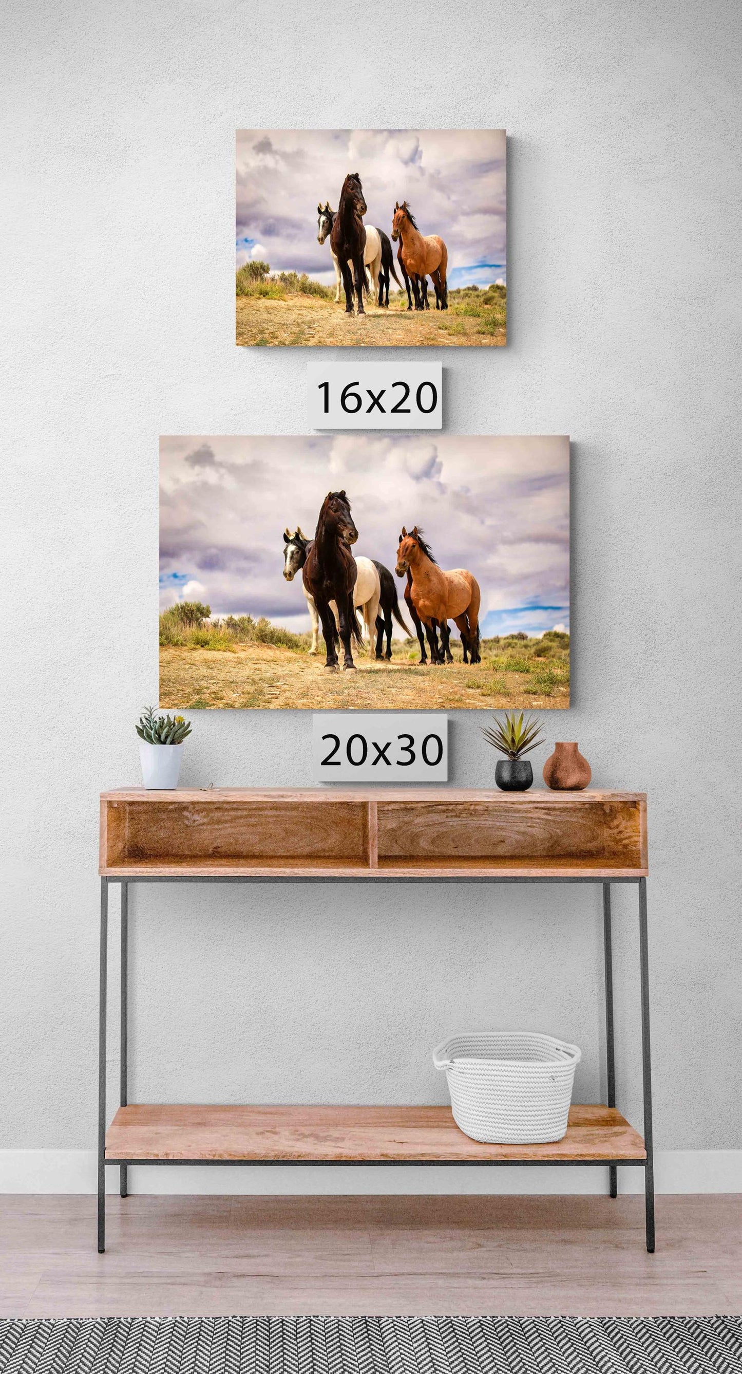 Wild horses standing on a ridge in Colorado's high desert plains of Sand Wash Basin. Mustang stallions - black, dun, pinto and gray. Photo shown printed on a canvas in two different sizes.