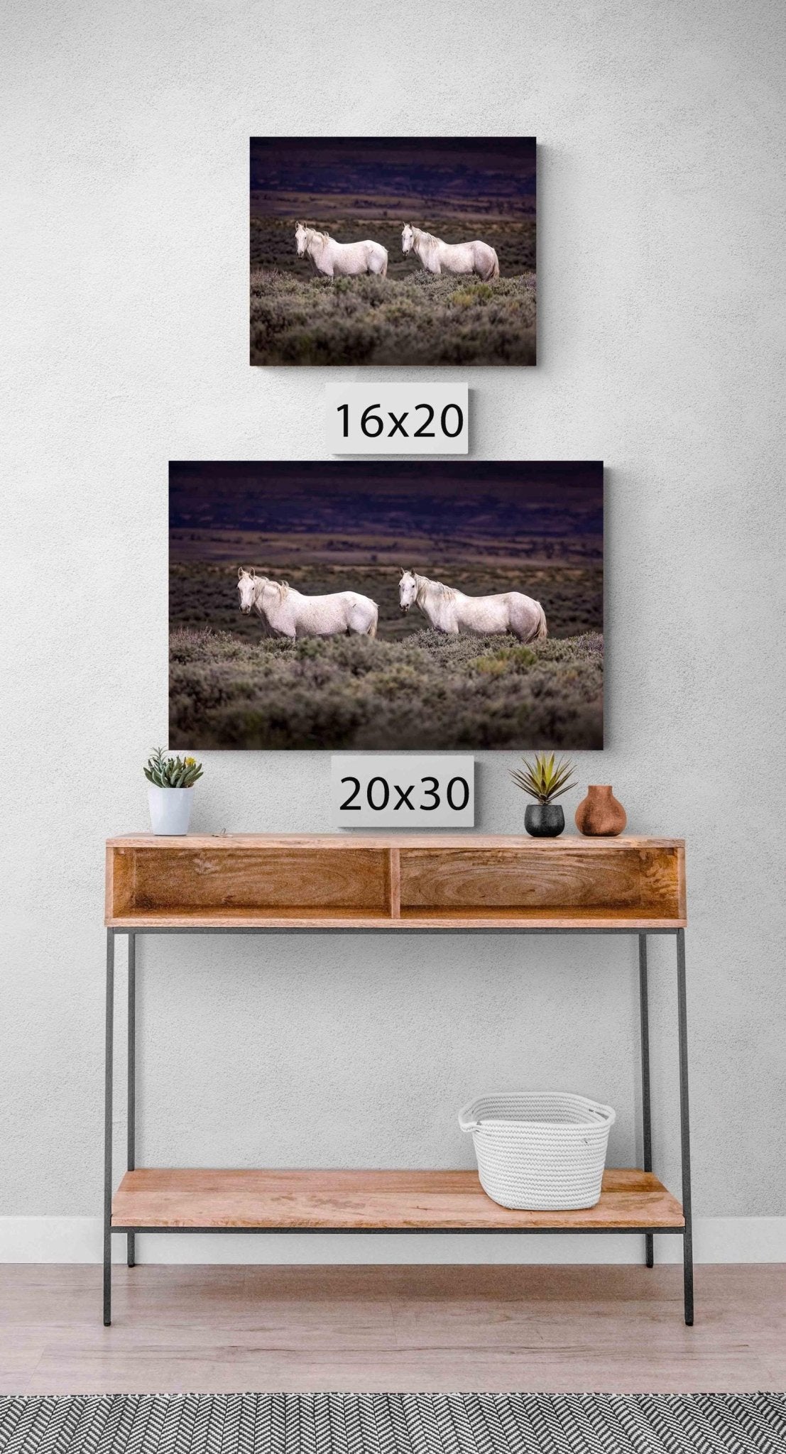 Colorado Wild Horses Wall Art Print, Wild Mustang Photo, Wildlife Canvas, Rocky Mountain Wilderness, Cowboy Old West Decor, Home or Office - SandyDobbsFineArtPhotography