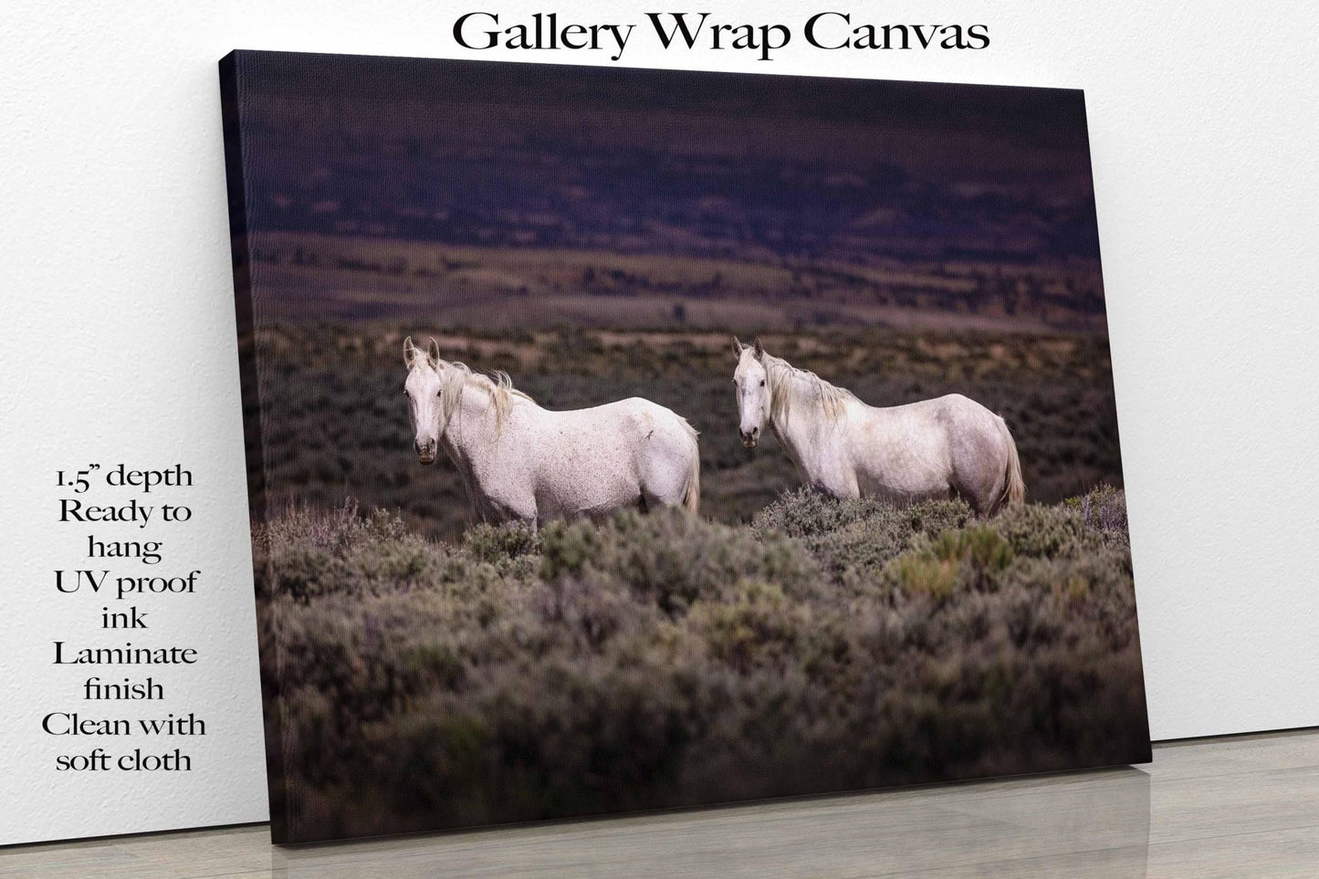 Colorado Wild Horses Wall Art Print, Wild Mustang Photo, Wildlife Canvas, Rocky Mountain Wilderness, Cowboy Old West Decor, Home or Office - SandyDobbsFineArtPhotography