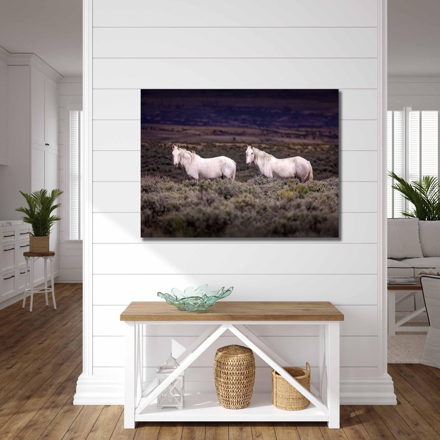 Colorado Wild Horses Wall Art Print, Wild Mustang Photo, Wildlife Canvas, Rocky Mountain Wilderness, Cowboy Old West Decor, Home or Office - SandyDobbsFineArtPhotography