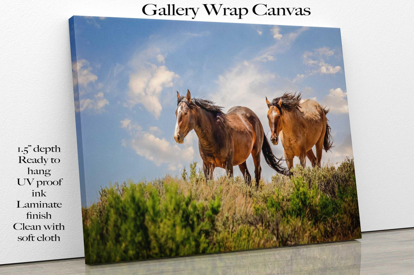 Wild Mustangs Photo, Wild Horses in Colorado Wall Art Print, Wildlife Canvas, Cowboy Old West Decor for Home or Office - SandyDobbsFineArtPhotography