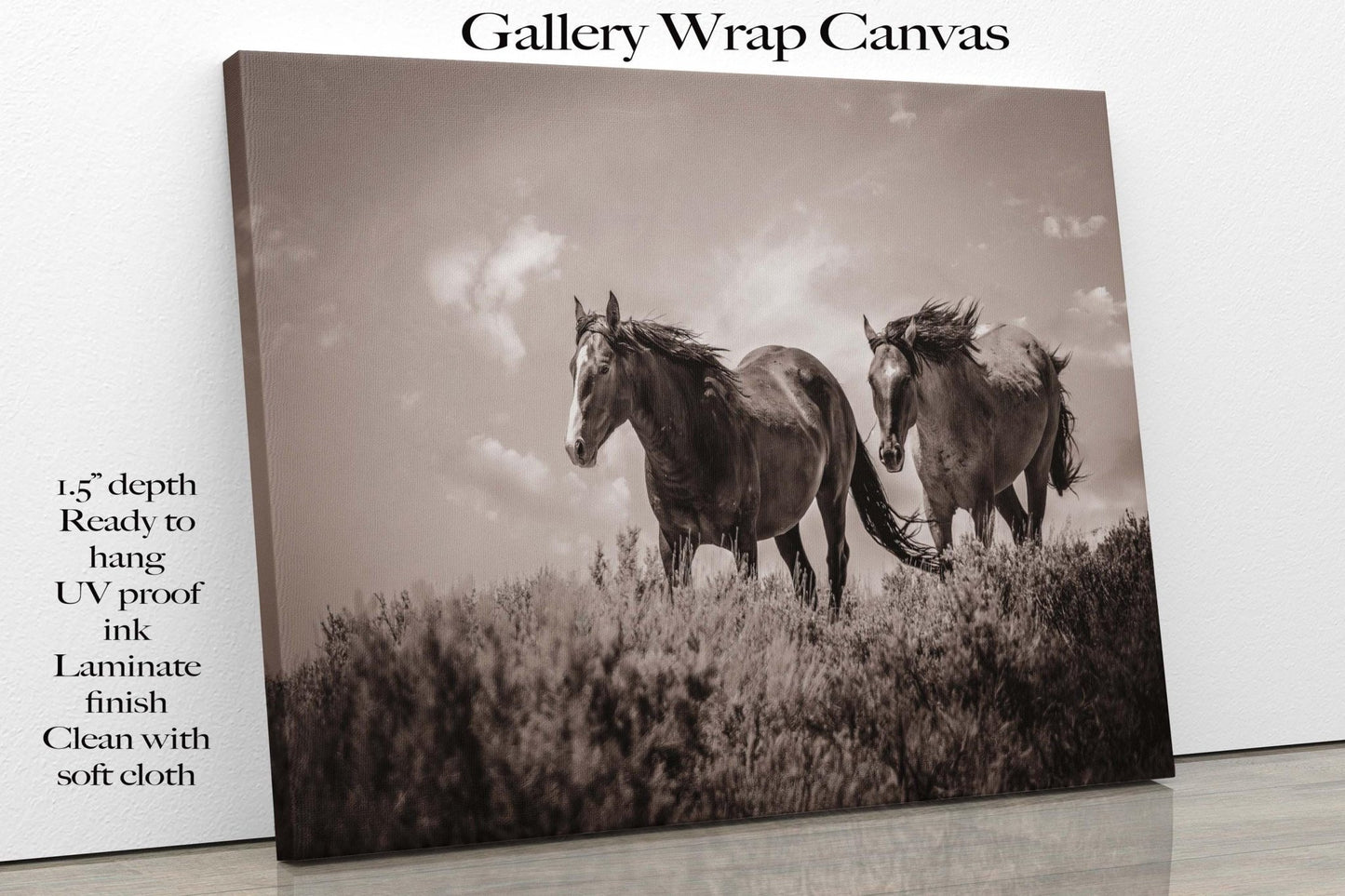 Black and White Colorado Wild Horses Wall Art Print, Mustang Sepia Photo Canvas, Horse Lover Gift, Cowboy Old West Decor for Home or Office - SandyDobbsFineArtPhotography