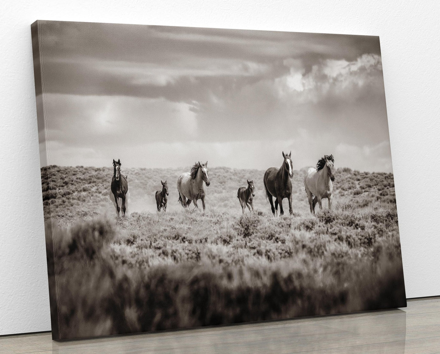 Sepia Colorado Wild Horses Running Wall Art Print, Mustang Photo Canvas, Horse Lover Gift, Cowboy Old West Decor for Home or Office - SandyDobbsFineArtPhotography