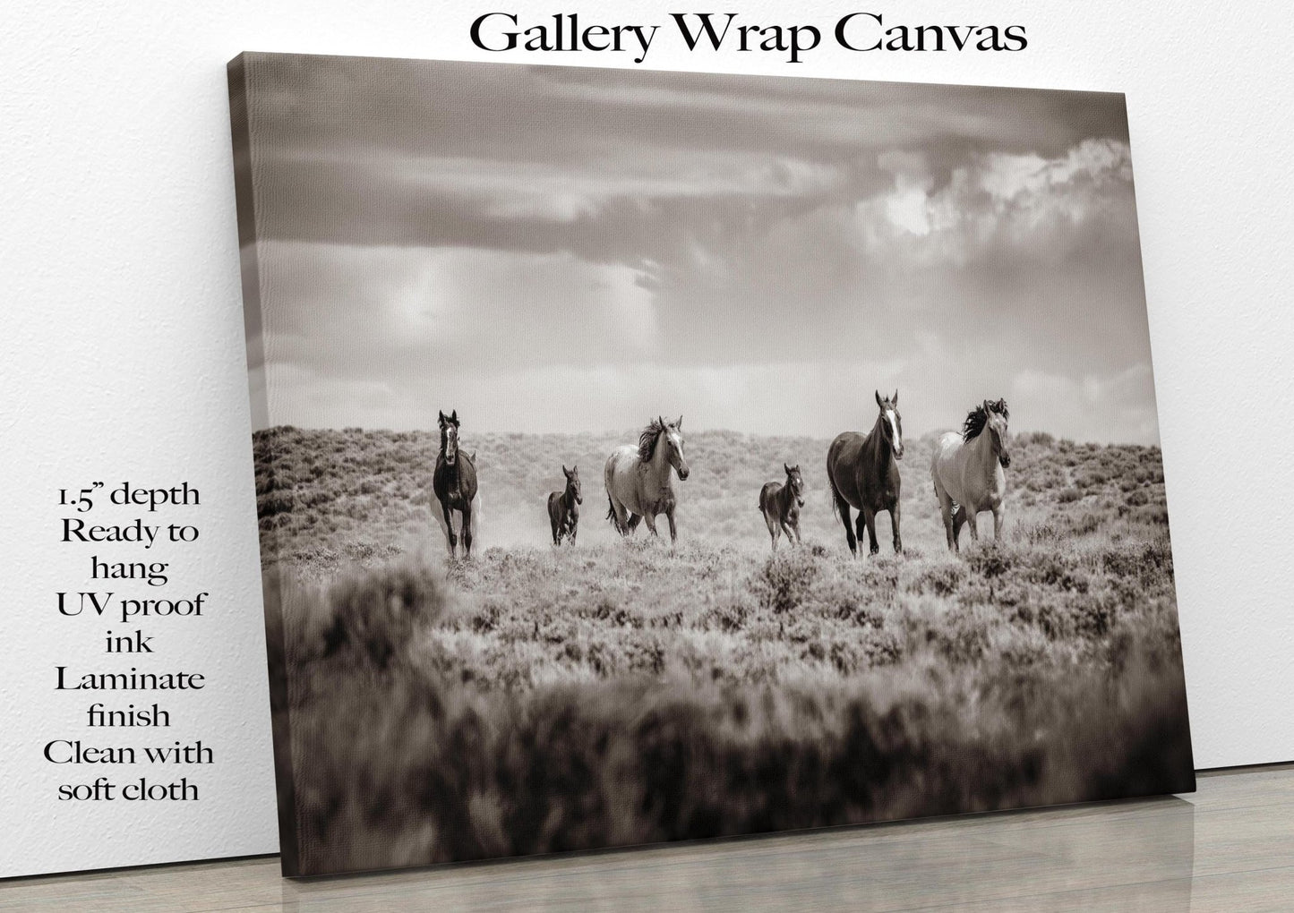 Sepia Colorado Wild Horses Running Wall Art Print, Mustang Photo Canvas, Horse Lover Gift, Cowboy Old West Decor for Home or Office - SandyDobbsFineArtPhotography