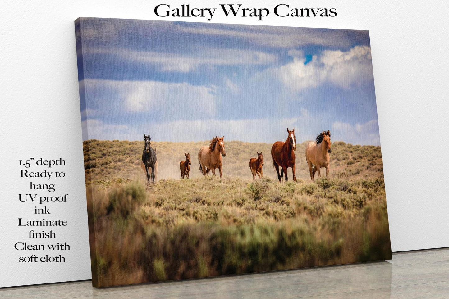 Wild Horses Running Photo Canvas Print, Colorado Cowboy Old West Decor for Home or Office, Mustangs Mares and Foals, Mountain Desert Scenery - SandyDobbsFineArtPhotography