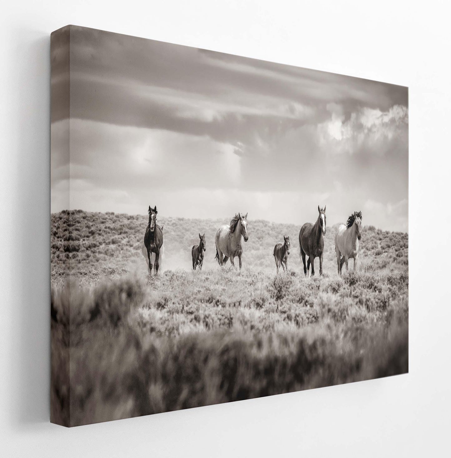 Sepia Colorado Wild Horses Running Wall Art Print, Mustang Photo Canvas, Horse Lover Gift, Cowboy Old West Decor for Home or Office - SandyDobbsFineArtPhotography
