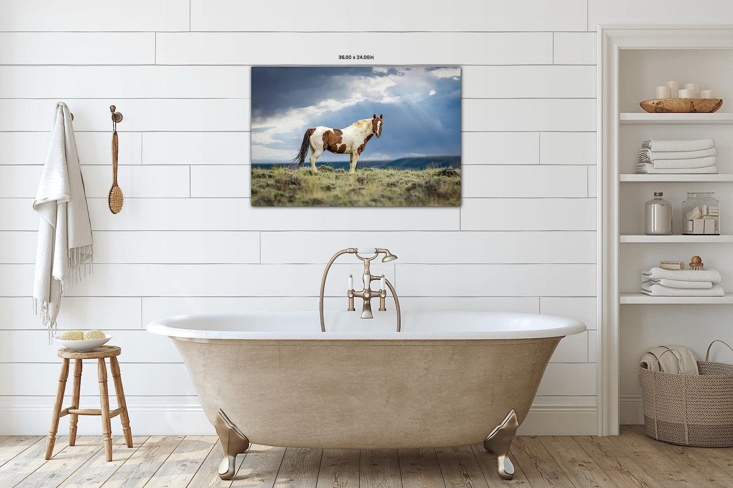 Wild Pinto Stallion Photo, Wyoming Mustang Horses Wall Art Print, Rocky Mountain Large Wildlife Canvas, Cowboy Old West Decor for Home - SandyDobbsFineArtPhotography