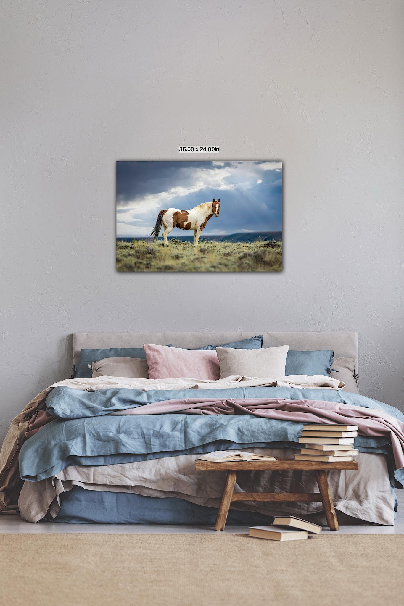 Wild Pinto Stallion Photo, Wyoming Mustang Horses Wall Art Print, Rocky Mountain Large Wildlife Canvas, Cowboy Old West Decor for Home - SandyDobbsFineArtPhotography