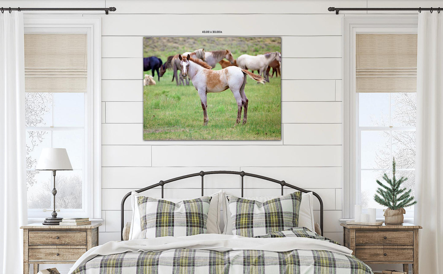 Wild Mustang Colt Photo Canvas, Wyoming Unique Baby Horse Wall Art Print, Rocky Mountain Large Wildlife Canvas, Cowboy Old West Home Decor - SandyDobbsFineArtPhotography
