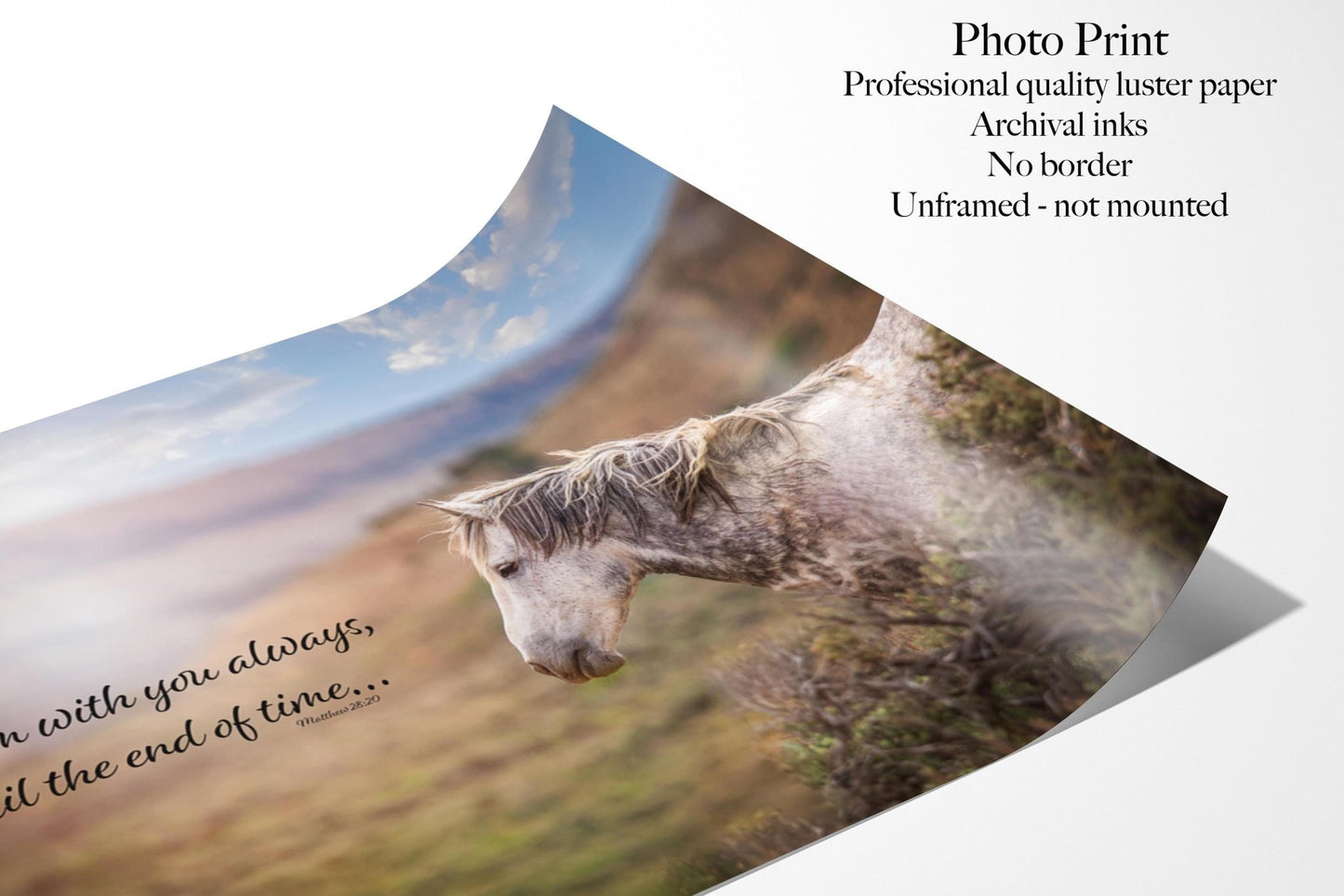 Matthew 28:20 Wild Horse Bible Verse, I am With You Always, Mustang Scripture Canvas, Christian Inspirational Wall Art, Cowboy Old West - SandyDobbsFineArtPhotography