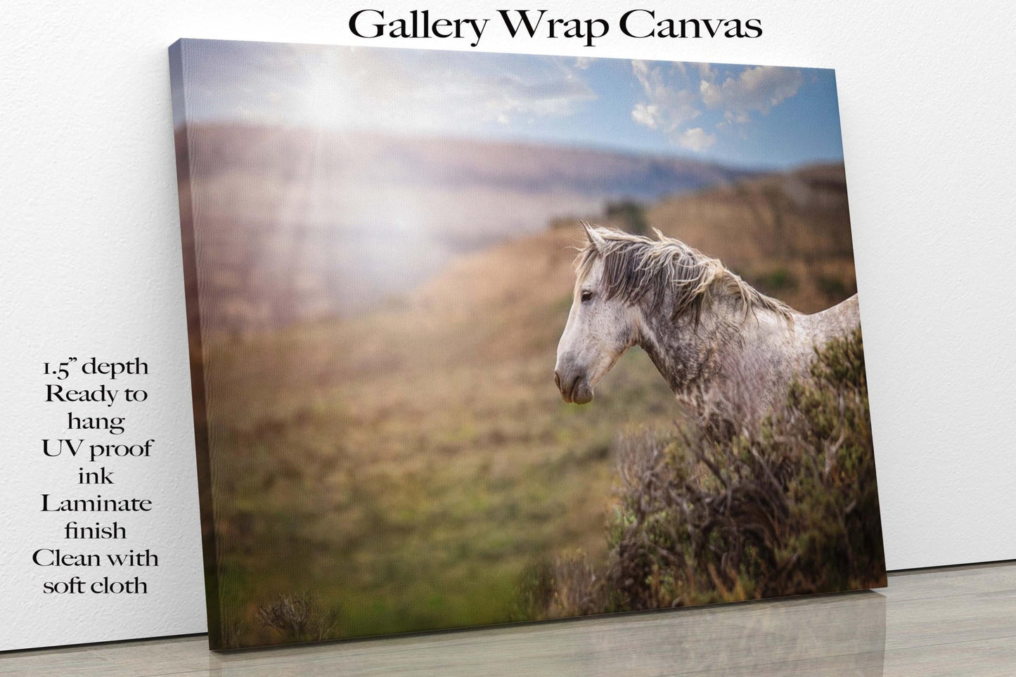Wild Horse Photo Canvas Print, Gray Mustang Stallion Picture, Colorado Cowboy Old West Home Decor, Mountain Desert Scenery - SandyDobbsFineArtPhotography