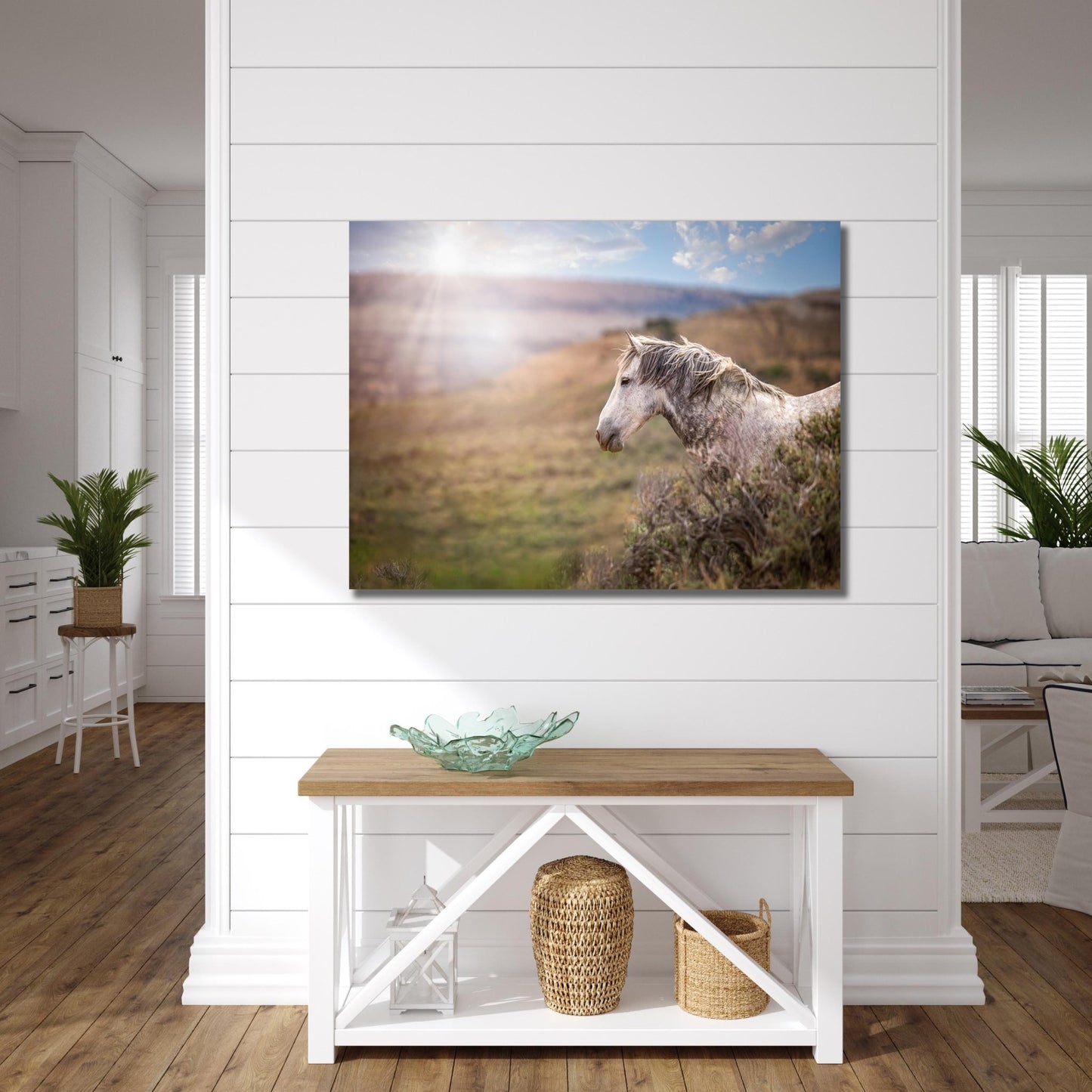 Wild Horse Photo Canvas Print, Gray Mustang Stallion Picture, Colorado Cowboy Old West Home Decor, Mountain Desert Scenery - SandyDobbsFineArtPhotography