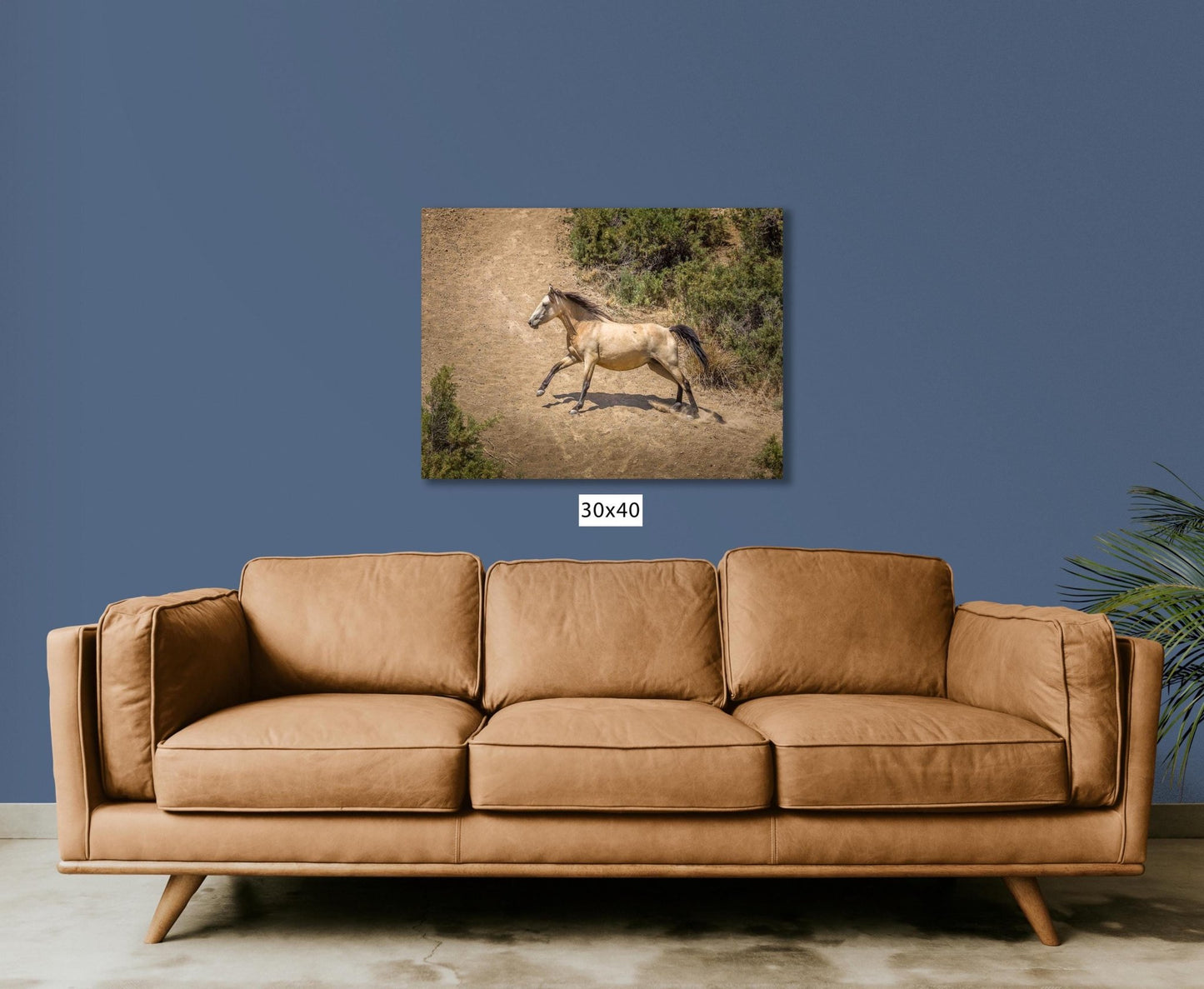 Wild Buckskin Horse Running Wall Art Print, Wild Mustang Photo, Colorado Wildlife Picture Canvas, Cowboy Old West Decor for Home or Office - SandyDobbsFineArtPhotography