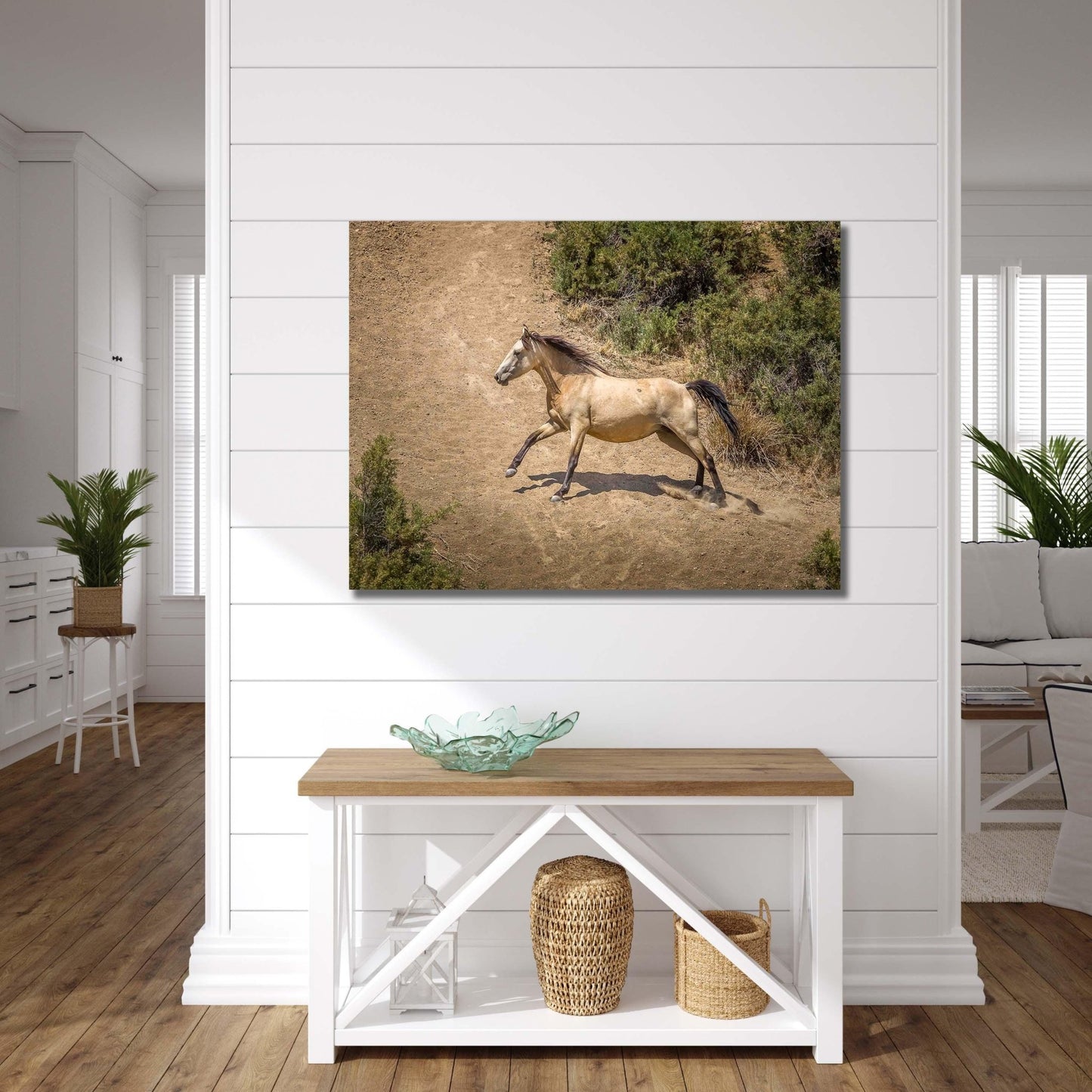 Wild Buckskin Horse Running Wall Art Print, Wild Mustang Photo, Colorado Wildlife Picture Canvas, Cowboy Old West Decor for Home or Office - SandyDobbsFineArtPhotography