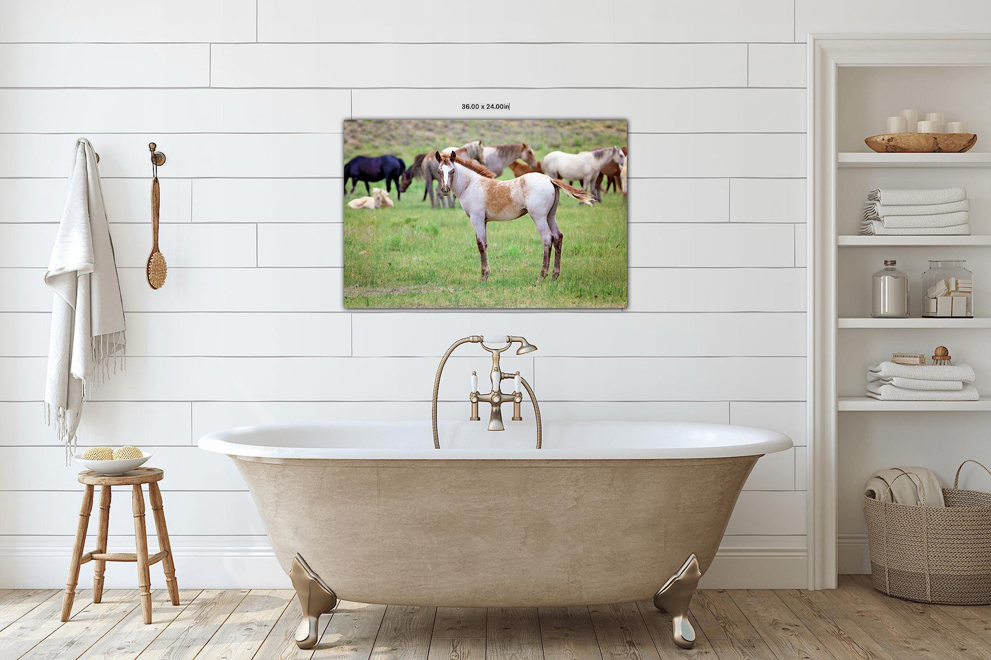 Wild Mustang Colt Photo Canvas, Wyoming Unique Baby Horse Wall Art Print, Rocky Mountain Large Wildlife Canvas, Cowboy Old West Home Decor - SandyDobbsFineArtPhotography