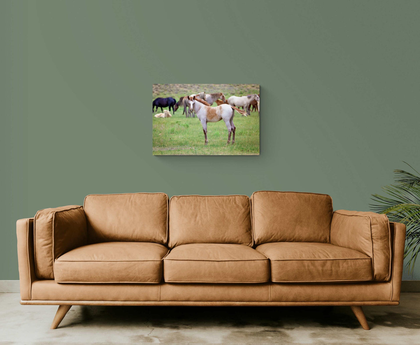 Wild Mustang Colt Photo Canvas, Wyoming Unique Baby Horse Wall Art Print, Rocky Mountain Large Wildlife Canvas, Cowboy Old West Home Decor - SandyDobbsFineArtPhotography