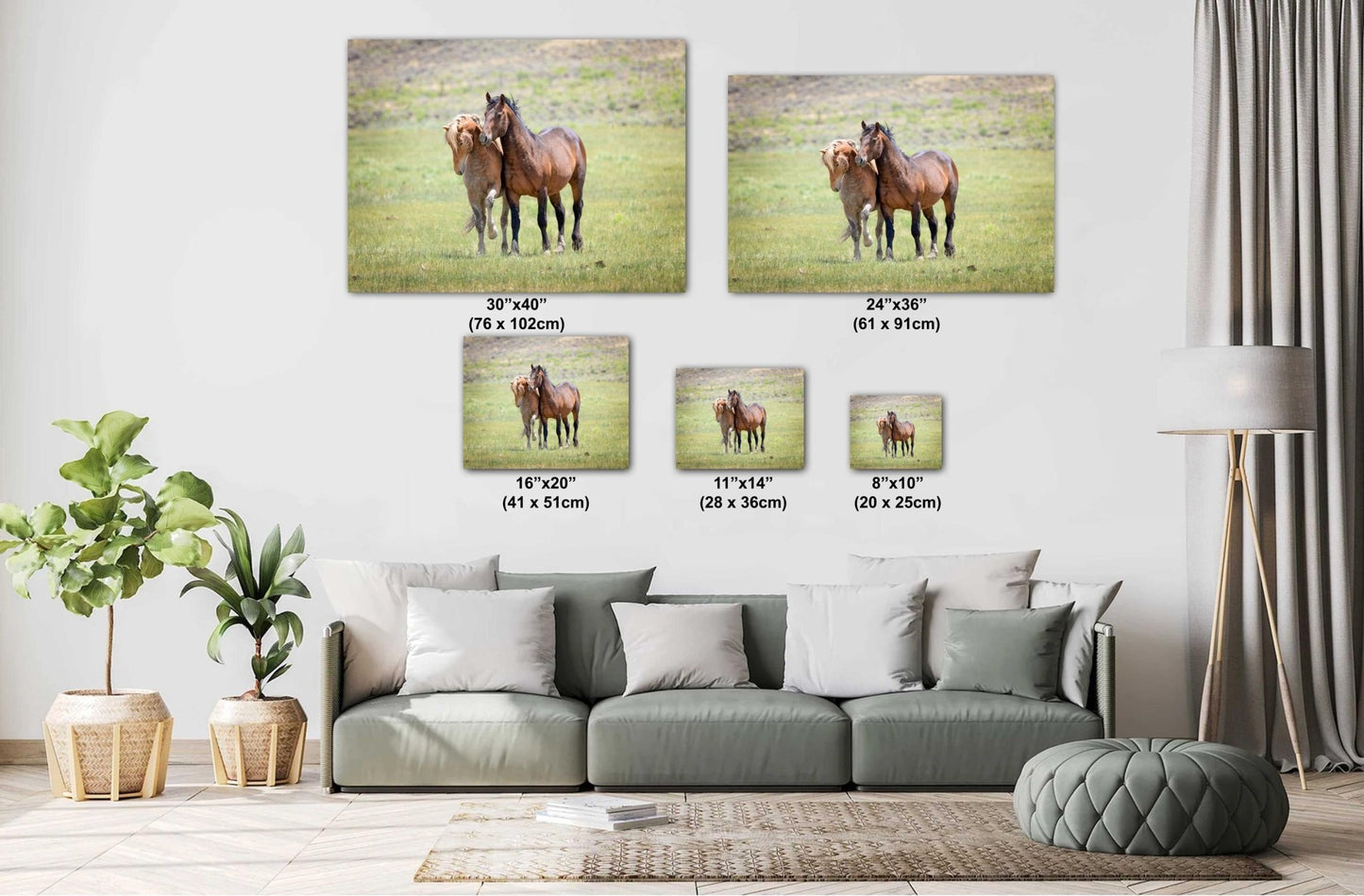 Wild Stallions Photo Canvas, Wyoming Mustang Horses Wall Art Print, Rocky Mountain Large Wildlife Canvas, Cowboy Old West Decor for Home - SandyDobbsFineArtPhotography