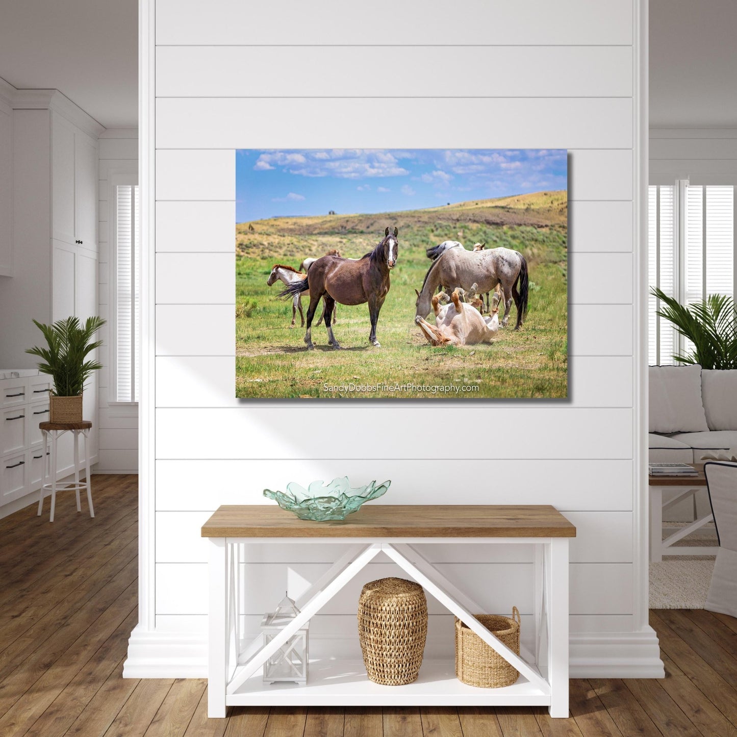 Wyoming Wild Horses Wall Art Print, Wild Mustang Stallions Playing Photo, Wildlife Canvas, Cowboy Old West Rustic Decor for Home - SandyDobbsFineArtPhotography