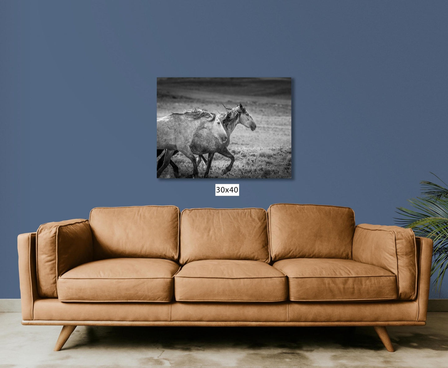 Wild Horses Running Black and White Photo, Adobe Town Wyoming Mustang Stallions Wall Art Print, Rocky Mountain Canvas, Cowboy Old West Decor - SandyDobbsFineArtPhotography