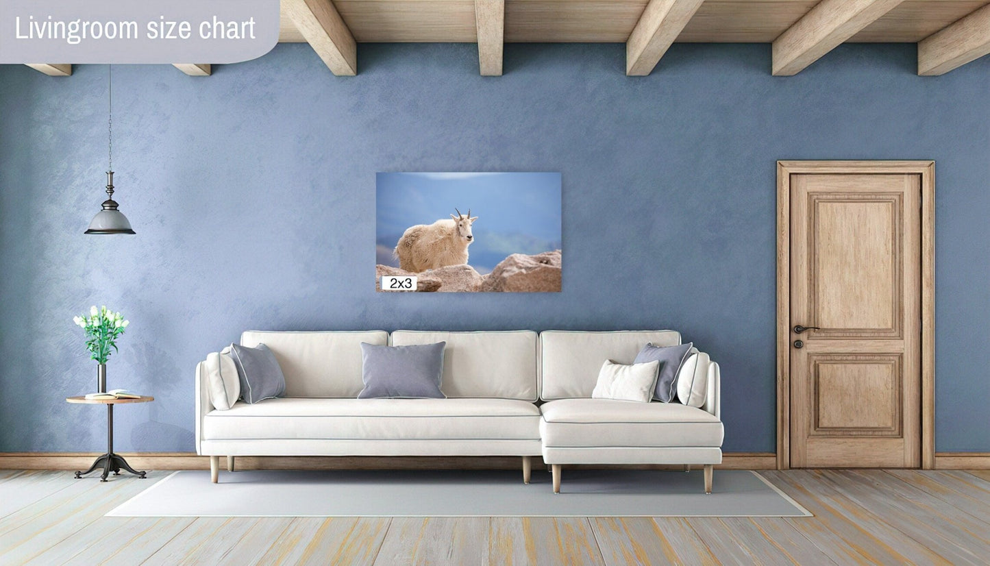 Mountain Goat on Mount Evans Colorado Print, Canvas Wall Art Prints, Colorado Wildlife Photography, Wall Decor for Home or Office - SandyDobbsFineArtPhotography