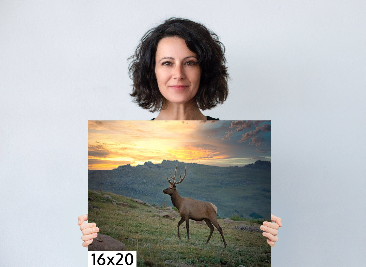 Canvas Wall Art Prints-Bull Elk on Tundra at Sunset, Rocky Mountain National Park-Wall Decor Ideal for Home ,Living Room, Bedroom and Office