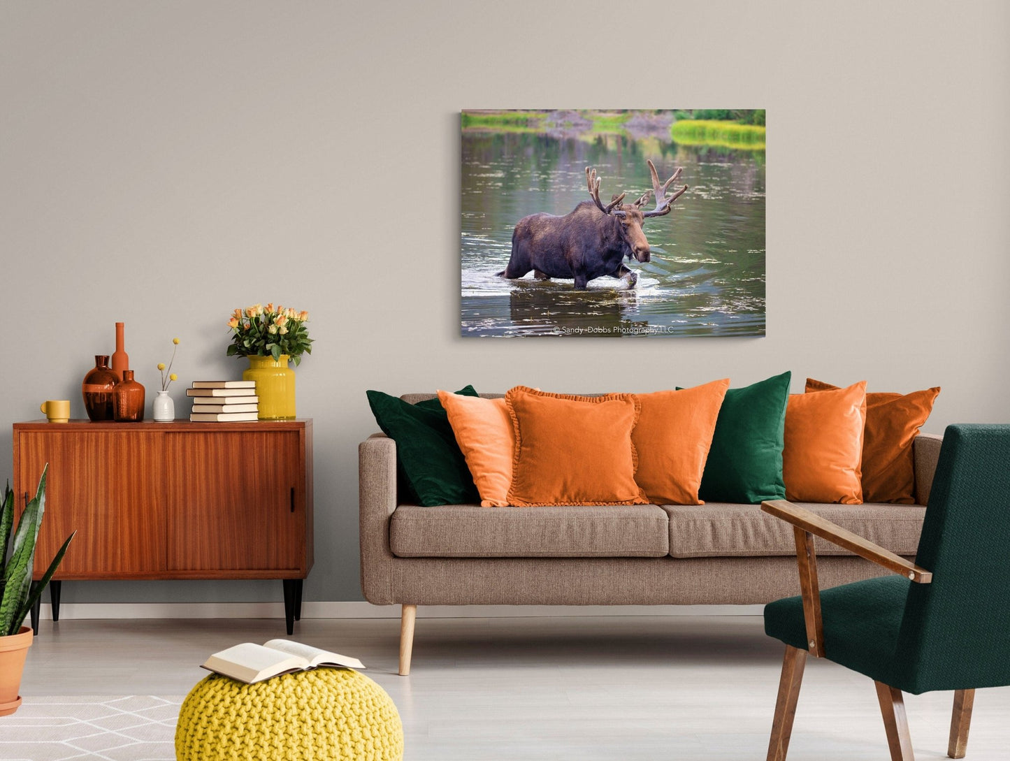 Bull Moose, Rocky Mountain National Park, Colorado Canvas Wall Art Prints, Wildlife Wall Photography, Canvas Decor for Home or Office - SandyDobbsFineArtPhotography